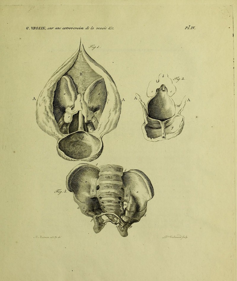 G. VU O ZIIC, jur «ne e^rlneme/su'e/i Je /a vedMc 3fc. f1.iv.