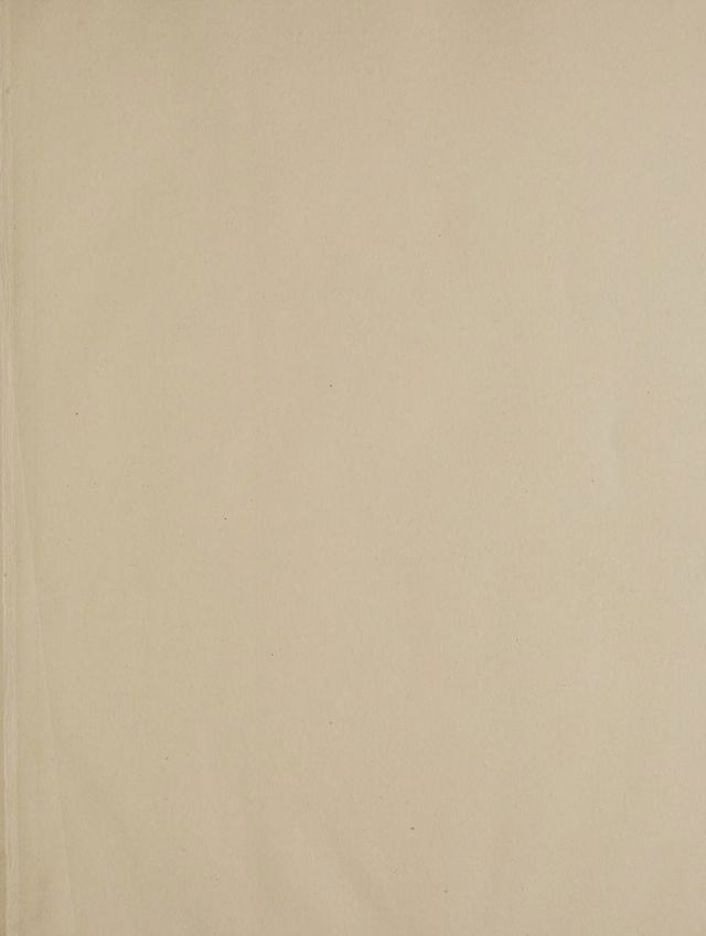 digitised image 3