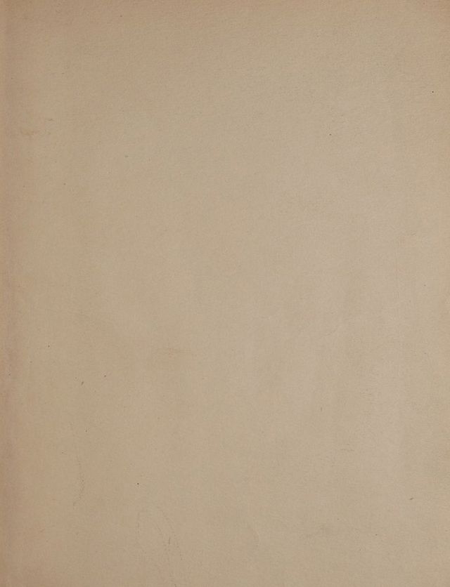 digitised image 3