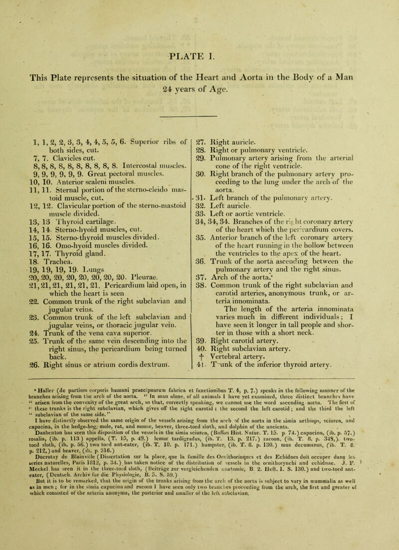 This Plate represents the situation of the Heart and Aorta in the Body of a Man 24 years of Age. 1, 2, 2, 3, 3, 4, 4, 5, 5, 6. Superior ribs of both sides, cut. 7, 7. Clavicles cut. 8, 8, 8, 8, 8, 8, 8, 8, 8, 8. Intercostal muscles. 9, 9, 9, 9, 9, 9. Great pectoral muscles. 10, 10. Anterior scaleni muscles. 11,11. Sternal portion of the sterno-cleido mas- toid muscle, cut, 12, 12. Clavicular portion of the sterno-mastoid muscle divided. 13, 13 Thyroid cartilage. 14, 14. Sterno-hyoid muscles, cut. 15,15. Sterno-thyroid muscles divided. 16, 16. Omo-hyoid muscles divided. 17,17. Thyroid gland. 18, Trachea. 19, 19, 19, 19. Lungs 20, 20, 20, 20, 20, 20, 20, 20. Pleurae. 21,21, 21, 21, 21, 21. Pericardium laid open, in which the heart is seen 22. Common trunk of the right subclavian and jugular veins. 23. Common trunk of the left subclavian and jugular veins, or thoracic jugular vein. 24. Trunk of the vena cava superior. 25. Trunk of the same vein descending into the right sinus, the pericardium being turned back. 26. Right sinus or atrium cordis dextrum. 27. Right auricle. 28. Right or pulmonary ventricle. 29- Pulmonary artery arising from the arterial cone of the right ventricle. 30. Right branch of the pulmonary artery pro- ceeding to the lung under the arch of the aorta. -31- Left branch of the pulmonary artery. 32. Left auricle. 33. Left or aortic ventricle. 34. 34,34. Branches of the rit ht coronary artery of the heart which the pericardium covers. 35. Anterior branch of the left coronary artery of the heart running in the hollow between . the ventricles to the apex of the heart. 36. Trunk of the aorta ascending between the pulmonary arterv and the right sinus. 37. Arch of the aorta.^ 38. Common trunk of the right subclavian and carotid arteries, anonymous trunk, or ar- teria innominata. The length of the arteria innominata varies much in different individuals; I have seen it longer in tall people and shor- ter in those with a short neck. 39- Right carotid artery. 40. Right subclavian artery. -f- Vertebral artery. 41. T unk of the inferior thyroid artery. * Haller (de partiiim corporis human! praecipuarum fabrica el funclionibus T. 4, p. 7-) speaks in the following manner of the branches arising from the arch of the aorta. “ In man alone, of all animals i have yet examined, three distinct branches have “ arisen from the convexity of the great arch, so that, correctly speaking, we cannot use the word ascending aorta. The first of these trunks is the right subclavian, which gives off the right carotid ; the second the left carotid ; and the third the left “ subclavian of the same side.’’ I have di.stinctly observed the same origin of the vessels arising from the arch of the aorta in the simia aethiops, sciurea, and capucina, in the hedge-hog,- mole, rat, and mouse, beaver, three-toed sloth, and dolphin of the ancients. Daubenton has seen this disposition of the vessels in the simia sciurea, (Biillbn Hist. Natur. T. 15. p. 74.) capucina, (ib. p. 57.) rosalia, (ib. p. 113) appella, (T. 15, p. 49.) lemur tardigradus, (ib. T. 13. p. 217.) racoon, (ib. T. 8. p. 348,). two- toed sloth, (ib. p. 56.) two toed ant-eater, (ib. T. 10. p. 171.) hampster, (ib. T. 8. p. 130.) nius decumanus, (ib. T. 8. p. 212,) and beaver, (ib. p. 316.) Ducrotay de Blainville (Dissertation sur la place, que la famille des Ornithoriuqucs et des Echidnes doit occuper dan? Ics series nalurelles, Paris 1812, p. 34.) has taken notice of the distribution of vessels in the ornithorynchi and echidnae. J. E. Meckel has seen it in the ibree-toed sloth, (Beitr'age zur vergleichenden anatomic, B. 2. Heft. 1. S. 130.) and two-toed ant- eater, (Deutsch. Archiv fur die Physiologic, B. 5. S. 59.) But it is to be remarked, that the origin of the trunks arising from the arch of the aorta is subject to vary in mammalia as well as in men ; for in the simia capucina and racoon 1 have seen only two branches proceeding from the arch, the first and greater of which consisted of the arteria anonyma, the posterior and smaller of the left subclavian.