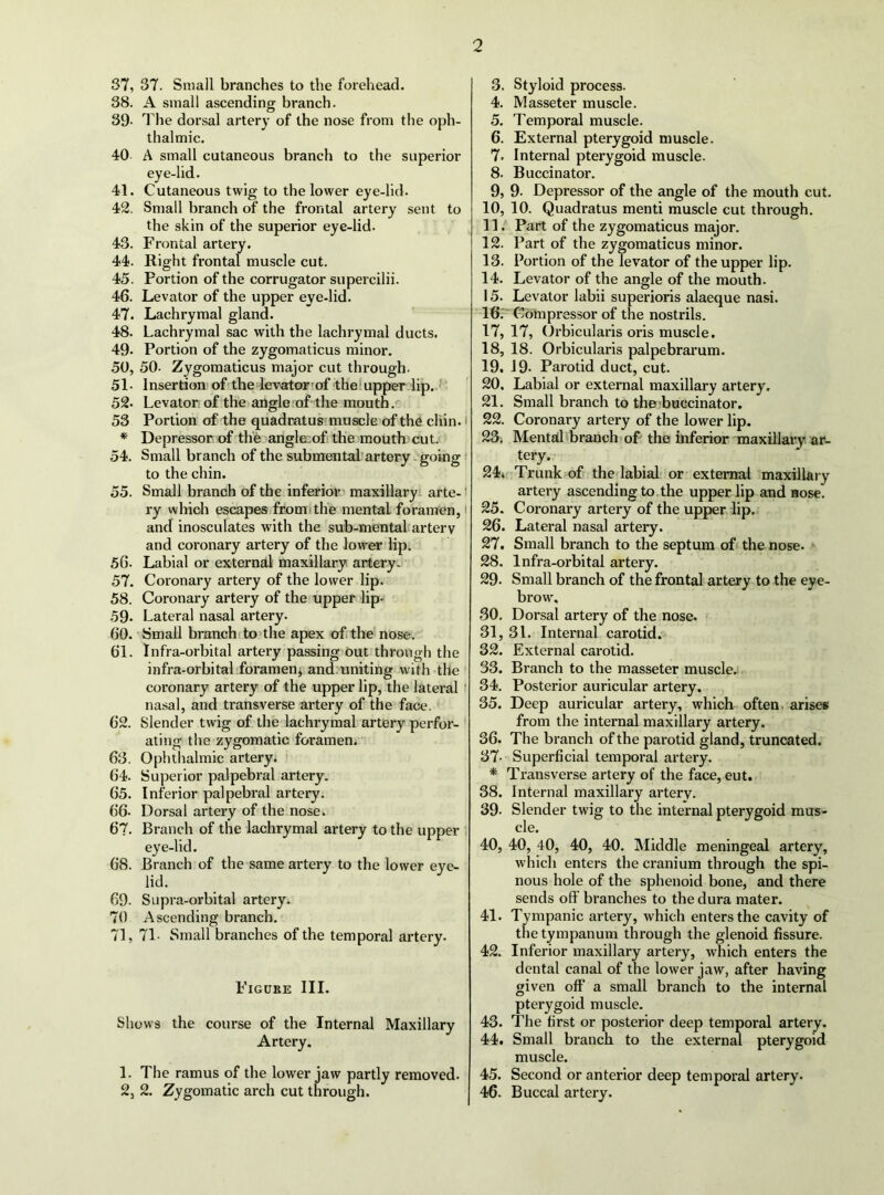 2 37, 37. Small branches to the forehead. 38. A small ascending branch. 39- The dorsal artery of the nose from the oph- thalmic. 40 A small cutaneous branch to the superior eye-lid. 41. Cutaneous twig to the lower eye-lid. 42. Small branch of the frontal artery sent to the skin of the superior eye-lid. 43. Frontal artery. 44. Right frontal muscle cut. 45. Portion of the corrugator supercilii. 46. Levator of the upper eye-lid. 47. Lachrymal gland. 48. Lachrymal sac with the lachrymal ducts. 49- Portion of the zygomaticus minor. 50, 50. Zygomaticus major cut through. 51- Insertion of the levartcBTof the!upper lip..'' ' 52. Levaton of the angle of the mouth .•e 53 Portion of the quadratus muscle of the chin. i * Depressor of th'e:'anglejof;the mouth cut. 54. Small branch of the submentah artery going i to the chin. 55. Small branch of the inferior - maxillary arte-1 ry wlhcli escapes fromithe mental foramen, i and inosculates with the sub-mental artery and coronary artery of the lower lip. 56. Labial or external maxillary artery- 57. Coronary artery of the lower lip. 58. Coronary artery of the upper lip- 59. Lateral nasal artery. 60. Small branch'to the apex of. the nose. 61. Infra-orbital artery passing Out through the infra-orbital foramenj; and.uniting with the coronary artery of the upper lip, the lateral i nasal, and transverse artery of the face. 62. Slender twig of the lachrymal artery perfor- ! ating the zygomatic foramen. 63. Ophthalmic artery; 64. Superior palpebral artery. 65. Inferior palpebral artery. 66- Dorsal artery of the nose. 67. Branch of the lachrymal artery to the upper , eye-lid. 68. Branch of the same artery to the lower eye- lid. 69. Supra-orbital artery. 70 Ascending branch. 71, 71- Small branches of the temporal artery. Figure III. Shows the course of the Internal Maxillary Artery. 1. The ramus of the lower jaw partly removed. 2, 2. Zygomatic arch cut through. 3. Styloid process. 4. Masseter muscle. 5. Temporal muscle. 6. External pterygoid muscle. 7. Internal pterygoid muscle. 8. Buccinator. 9. 9. Depressor of the angle of the mouth cut. 10. 10. Quadratus menti muscle cut through. 11. Part of the zygomaticus major. 12. Part of the zygomaticus minor. 13. Portion of the levator of the upper lip. 14. Levator of the angle of the mouth. 15. Levator labii superioris alaeque nasi. 16. ' Compressor of the nostrils. 17. 17, Oi’bicularis oris muscle. 18. 18. Orbicularis palpebrarum. 19. 19. Parotid duct, cut. 20. Labial or external maxillary artery. 21. Small branch to theibuccinator. 22. Coronary artery of the lower lip. 23i Mental branch of the inferior maxillary, ar- tery. 24. Trunk of the labial or external maxillary artery ascending to the upper lip and nose. 25. Coronary artery of the upper lip. 26. Lateral nasal artery. 27. Small branch to the septum of the nose. 28. Infra-orbital artery. 29. Small branch of the frontal artery to the eye- brow. 30. Dorsal artery of the nose. 31. 31. Internal carotid. 32. External carotid. 33. Branch to the masseter muscle. 34. Posterior auricular artery. 35. Deep auricular artery, which often, arises from the internal maxillary artery. 36. The branch of the parotid gland, truncated. 37- Superficial temporal artery. * Transverse artery of the face, eut. 38. Internal maxillary artery. 39- Slender twig to the internal pterygoid mus- cle. 40. 40, 40, 40, 40. Middle meningeal artery, which enters the cranium through the spi- nous hole of the sphenoid bone, and there sends off branches to the dura mater. 41. Tympanic artery, which enters the cavity of the tympanum through the glenoid fissure. 42. Inferior maxillary artery, which enters the dental canal of the lower jaw, after having given off a small branch to the internal pterygoid muscle. 43. The first or posterior deep temporal artery. 44. Small branch to the external pterygoid muscle. 45. Second or anterior deep temporal artery. 46. Buccal artery.