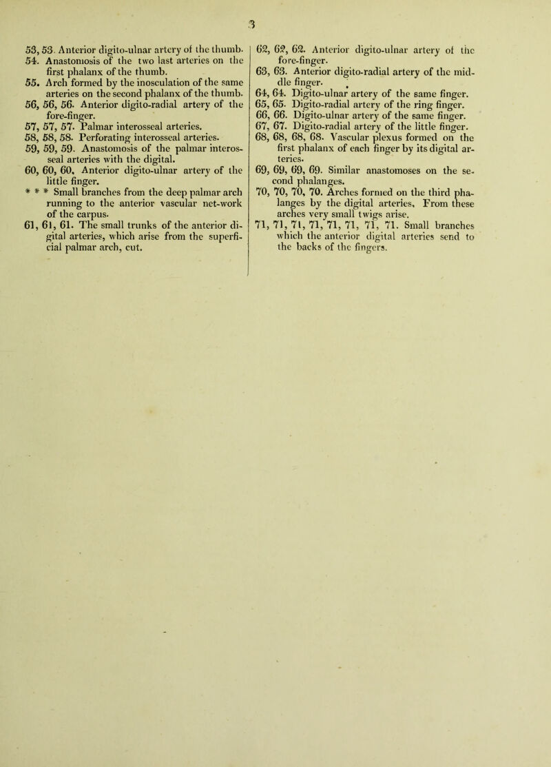 53,53. Anterior digito-ulnar artery of the thumb. 54, Anastomosis of the two last arteries on the first phalanx of the thumb. 55, Arch formed by the inosculation of the same arteries on the second phalanx of the thumb. 56, 56, 56. Anterior digito-radial artery of the fore-finger. 57, 57, 57. Palmar interosseal arteries. 58, 58, 58. Perforating interosseal arteries. 59, 59, 59. Anastomosis of the palmar interos- seal arteries with the digital. 60, 60, 60. Anterior digito-ulnar artery of the little finger. * * * Small branches from the deep palmar arch running to the anterior vascular net-work of the carpus. 61, 6l, 61. The small trunks of the anterior di- gital arteries, which arise from the superfi- cial palmar arch, cut. 62, 62, 62. Anterior digito-ulnar artery of the fore-finger. 63, 63. Anterior digito-radial artery of the mid- dle finger. 64, 64. Digito-ulnar artery of the same finger. 65, 65. Digito-radial artery of the ring finger. 66, 66. Digito-ulnar artery of the same finger. 67, 67. Digito-radial artery of the little finger. 68, 68, 68, 68. Vascular plexus formed on the first phalanx of each finger by its digital ar- teries. 69, 69, 69, 69. Similar anastomoses on the se- cond phalanges. 70, 70, 70, 70. Arches formed on the third pha- langes by the digital arteries. From these arches very small twigs arise. 71, 71, 71, 71, 71, 71, 71, 71. Small branches which the anterior digital arteries send to the backs of the fingers.