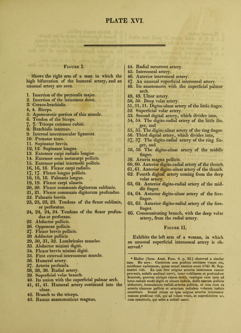 Figure I. Shows the right arm of a man in which the high bifurcation of the humeral artery, and an unusual artery are seen. 1. Insertion of the pectoralis major. 2. Insertion of the latissimus dorsi. 3. Coraco-brachialis. 4. 4. Biceps. 5. Aponeurotic portion of this muscle. 6. Tendon of the biceps. 7. 7* Triceps extensor cubiti. 8. Brachialis internus. 9. Internal intermuscular ligament. 10. Pronator teres. 11. Supinator brevis. 12. 12. Supinator longus. 13. Extensor carpi radialis longior. 14. Extensor ossis metacarpi pollicis. 15. Extensor primi internodii pollicis. 16. 16, 16. Flexor carpi radialis. 17,17- Flexor longus pollicis. 18, 18, 18. Palmaris longus. 19, 19. Flexor carpi ulnaris. 20, 20. Flexor communis digitorum sublimis. 21, 21. Flexor communis digitorum profundus. 22, Palmaris brevis. 23, 23, 23, 23. Tendons of the flexor sublimis, or perforatus. 24, 24, 24, 24. Tendons of the flexor profun- dus or perforans. 25, Abductor pollicis. 26, Opponens pollicis. 27, Flexor brevis pollicis. 28 Adductor pollicis. 29, 30, 31, 32. Lumbricales muscles. 33. Abductor minimi digiti. 34. Flexor brevis minimi digiti. 35. First external interosseous muscle. 36. Humeral artery. 37. Arteria profunda. 38. 38, 38. Radial artery. 39- Superficial volar branch. 40. Its union with the superficial palmar arch. 41, 41, 41. Humeral artery continued into the ulnar. 42. Branch to the triceps. 43, Ramus anastomoticus magnus. 44, Radial recurrent artery. 45, Interosseal artery. 46, Anterior interosseal artery' 47, An unusual superficial interosseal artery. 48, Its anastomosis with the superficial palmar arch. 49, 49. Ulnar artery. 50, 50. Deep volar artery. 51, 51, 51. Digito-ulnar artery of the little finger. 52, Superficial volar artery. 53, Second digital artery, which divides into, 54, 54. The digito-radial artery of the little fin- ger, and 55, 55. The digito-ulnar artery of the ring finger. 56, Third digital artery, which divides into, 57, 57. The digito-radial artery of the ring fin- ger, and 58, 58. The digito-ulnar artery of the middle finger. 59, Arteria magna poUicis. 60, 60. Anterior digito-radial artery of the thumb. 61, 61. Anterior digito-ulnar artery of the thumb. 62, Fourth digital artery coming from the deep volar artery. 63, 63. Anterior digito-radial artery of the mid- dle finger. 64, 64. Anterior digito-ulnar artery of the fore- finger. 65, 65. Anterior digito-radial artery of the fore- finger. 66, Communicating branch, with the deep volar artery, from the radial artery. Figure II. Exhibits the left arm of a woman, in which an unusual superficial interosseal artery is ob- served.* “ Haller (Icon. Anat. Fasc. 6. p. 33.) observed a similar case. He says: Caeterum non penitus omittere visum est, mirificam varietatem, quam semel omnino anno M. Sep- tembri vidi. Ex ipsa fere origine arteriae interosseae ramus provenit, sodalis mediani nervi, inter sublimem et profundum Bexorem, quorum utrique ramos dedit, venitque cum ipsis ad latus radiale medii digiti et ulnare indicis, dedit ramum pollicis abductori, inosculatum radiali arteriae pollicis, et una cum ea arteria ulnarem pollicis et arteriam radialem volarem indicis coustituit. Semel etiam ex ipsa origine arteriae interosse<e ramum prodiisse vidi, qui ad volam venit, et superficialem ar» cum constituit, qui solet a radiali nasci.