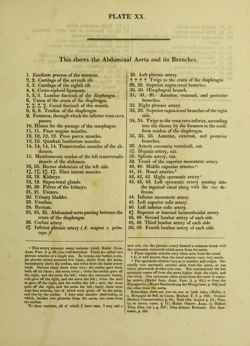 This shows the Abdominal Aorta and its Branches. 1, Ensiform process of the sternum. 2, 2. Cartilage of the seventh rib. 3, 3. Cartilage of the eighth rib. 4, 4. Costo-xiphoid ligaments. 5, 5, 5. Lumbar fasciculi of the diaphragm. 6, Union of the crura of the diaphragm, 7» 7? 7) 7 Costal fasciculi of this muscle. 8, 8, 8. Tendon of the diaphragm. 9, Foramen, through which the inferior vena cava passes. 10, Hiatus for the passage of the oesophagus. 11, 11. Psoae magnae muscles. 12, 12, 12, 12. Psoae parvae muscles. 13, 13. Quadrat! lumborum muscles. 14, 14, 14, 14. Transversales muscles of the ab- domen. 15, Membraneous tendon of the left transversalis muscle of the abdomen. 16, 16. Rectus abdominis of the left side. 17,17,17,17. Iliaci interni muscles. 18, 18. Kidneys. 19, 19. Supra-renal glands. 20, 20. Pelves of the kidneys. 21, 21. Ureters. 22. Urinary bladder. 23. Urachus. 24. Rectum. 25, 25, 25. Abdominal aorta passing between the crura of the diaphragm. 26. Coeliac artery. 27. Inferior phrenic artery (A. magna s. prin- ceps.J^ a This artery presents many varieties which Haller (Icon. Anat. Fasc. 3. p. 53.) has well described. There are either two phrenic arteries or a single one. In twenty-one bodies, a sin- gle phrenic artery occurred five times, thrice from the aorta, immediately above the coeliac, and twice from the latter artery itself. Sixteen times there were two: the coeliac gave them both ofiF six times; the aorta twice ; twice the coeliac gave off the right, and the aorta the left; twice the coronaria ventri- culi gave off the right, and the aorta the left; twice the aor^ ta gave off the right, and the coeliac the left; once the renal gave off the right, and the aorta the left; lastly, there were once four arteries, two of which were given off by the aorta, and two by the coeliac. I here omit another observation, in which, besides two phrenics from the aorta, one came from the coeliac. To these varieties, all of which I have seen, I may add a 28, Left phrenic artery. f -|- -f* -f- Twigs to the crura of the diaphragm. 29, 29- Superior supra-renal branches. 30, 30. (Esophageal branch. 31, 31, 31. Anterior, external, and posterior branches. 32, Right phrenic artery. 33, 33. Superior supra-renal branches of the right side. 34, ,34. Twigs to the vena cava inferior, ascending into the thorax by the foramen in the cordi- form tendon of the diaphragm. 35, 35, 35. Anterior, external, and posterior branches. 36, Arteria coronaria ventriculi, cut. 37, Hepatic artery, cut. 38, Splenic artery, cut. 39, Trunk of the superior mesenteric artery. 40, 40. Middle capsular arteries.®-' 41, 41. Renal arteries.'* 42, 42, 42. Right spermatic artery.' 43, 43, 43. Left spermatic artery passing into the inguinal canal along with the vas de- ferens. 44, Inferior mesenteric artery. 45, Left superior colic artery. 46, Left inferior colic artery. 47, Superior or internal haemorrhoidal artery. 48, 48. Second lumbar artery of each side. 49, 49. Third lumbar artery of each side. 50, 50. Fourth lumbar artery of each side. new one, viz. the phrenic artery formed a common trunk with the coronaria ventriculi which arose from the aorta. a These capsular arteries very often arise from the renal, b It is well known that the renal arteries vary very much, c The spermatic arteries vary as to number and origin. Ge- nerally two spermatic arteries arise from the aorta, or one which afterwards divides into two. Not uncommonly the left spermatic comes off from the aorta higher than the right, and vice versa. One spermatic often arises from the renal or capsu- lar artery, (Haller Icon. Anat. Fasc. 3, p. 60,) or from the Hypogastric, ( Mayer Beschreibung der Blutgef asse, p. 180,) and the other from the aorta. Sometimes there are two on one or both sides, (Haller, 1. c. Morgagni de Sed. et Causs, Morbor. T. 2. p. 348 ; Hunter Medical Commentaries, p. 78 ; Pohl Obs. Angiol. p- 12 ; Nico- lai de direct, vasor. § i7; Huber Observ. Anat. in Ualleri Thes. Diss. vol. i. p. 307 ; Otto Scltene Beobacht. Zur Ana- tomic, p. 101.