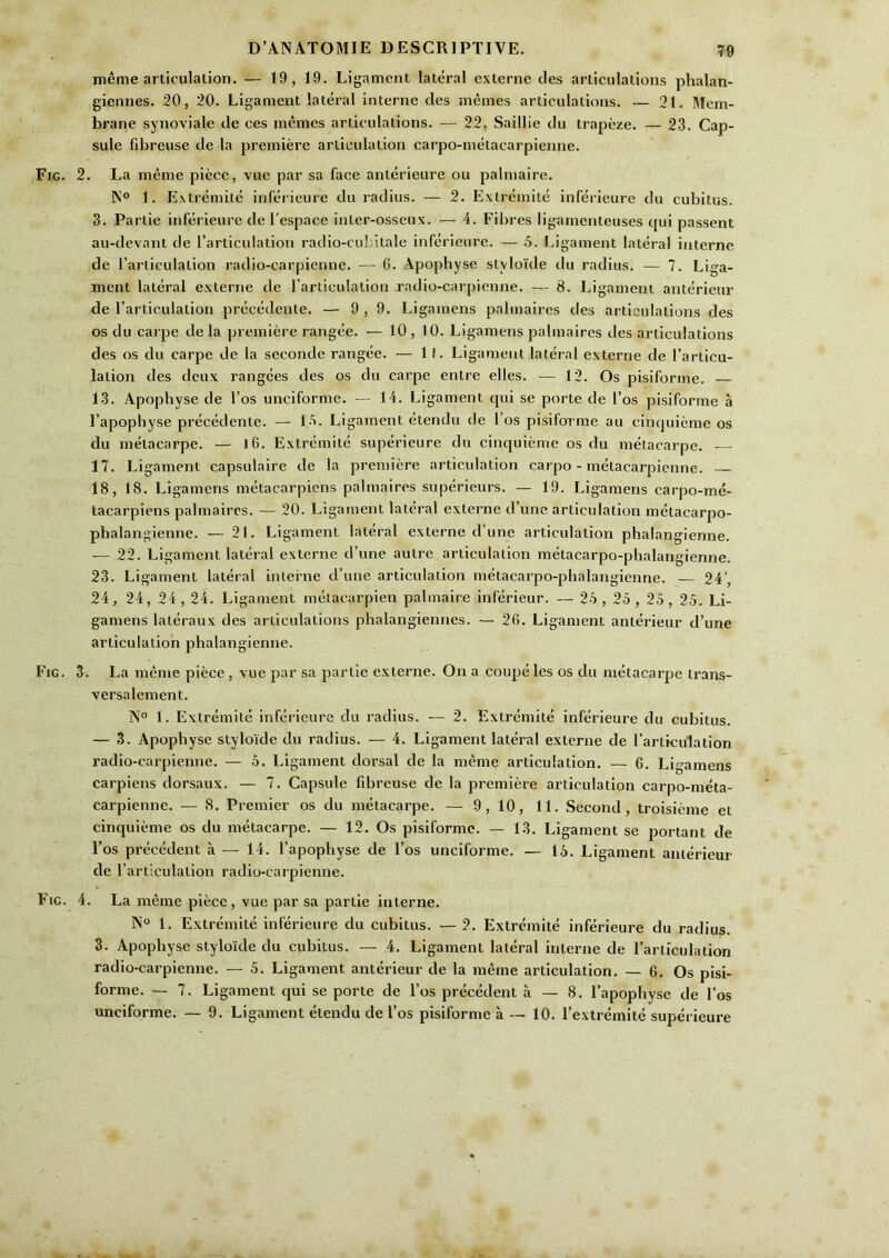 meme articulalion. — 19, 19. Ligament lateral externe ties articulations phalan- giennes. 20, 20. Ligament lateral interne des memes articulations. — 21. Mem- brane synoviale de ces memes articulations. — 22. Saillie du trapeze. — 23. Cap- sule fibreuse de la premiere articulation carpo-metacarpienne. Fig. 2. La meme piece, vue par sa face anterieure ou palmaire. IN® 1. Extremite inferieure du radius. — 2. Extremitc inferieure du cubitus. 3. Partie inferieure de I’espace inter-osseux. — 4. Fibres ligainenteuses qui passent au-devant de I’articulation radio-culdtalc inferieure. — 5. Ligament lateral interne de I’arliculation radio-carpienne. — 6. Apophyse styloide du radius. — 7. Liga- ment lateral externe de rarticulation radio-carpienne. — 8. Ligament anterieur de I’articulalion precedentc. — 9,9. Ligamens palmaires des articulations des os du cai pe de la premiere rangee. — 10 , 10. Ligamens palmaires des articulations des os du carpe de la seconde rangee. — 1!. Ligament lateral externe de I’articu- lation des deux rangees des os du carpe entre elles. — 12. Os pisiforme. —- 13. Apophyse de I’os unciforme. — 14. Ligament qui se porte de I’os pisiforme a I’apophyse precedente. — l '>. Ligament etendu de i’os pisiforme au cinquieme os du inetacarpe. — j6. Extremite superieure du cinquieme os du inetacarpe. 17. Ligament capsulaire de la premiere articulation carpo-metacarpienne. — 18, 18. Ligamens metacarpiens palmaires superieurs. — 19. Ligamens carpo-me- tacarpiens palmaires. — 20. Ligament lateral externe d’une articulation metacarpo- phalangienne. — 21. Ligament lateral externe d’une articulation phalangienne. — 22. Ligament lateral externe d’une autre articulation metacarpo-phalangienne. 23. Ligament lateral interne d’une articulation metacarpo-phalangienne. — 24', 24, 24, 24,24. Ligament melacarpien palmaire inferieur. — 25 , 25 , 25 , 25. Li- gamens lateraux des articulations phalangiennes. — 26. Ligament anterieur d’une articulation phalangienne. Fig. 3. La meme piece , vue par sa partie externe. On a coupe les os du inetacarpe Irans- versalement. N° 1. Extremite inferieure du radius. — 2. Extremite inferieure du cubitus. — 3. Apophyse styloide du radius. — 4. Ligament lateral externe de I’artkulation radio-carpienne. — 5. Ligament dorsal de la meme articulation. — 6. Ligamens carpiens dorsaux. — 7. Capsule fibreuse de la premiere articulation carpo-nieta- carpienne. — 8. Premier os du inetacarpe. — 9, 10, 11. Second, troisieme et cinquieme os du inetacarpe. — 12. Os pisiforme. — 13. Ligament se portant de I’os precedent a — 14. I’apophyse de I’os unciforme. — 15. Ligament anierieur de r articulation radio-carpienne. Fig. 4. La meme piece, vue par sa partie interne. 1. Extremite inferieure du cubitus. — 2. Extremite inferieure du radius. 3. Apophyse styloide du cubitus. — 4. Ligament lateral interne de Farliculation radio-carpienne. — 5. Ligament anterieur de la meme articulation. — 6. Os pisi- forme. — 7. Ligament qui se porte de I’os precedent a — 8. I’apophyse de I’os unciforme. — 9. Ligament etendu de I’os pisiforme a — 10. I’extremite superieure