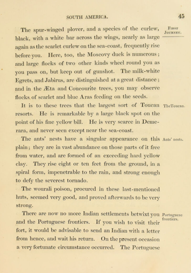 The spiir-winged plover, and a species of the curlew, black, with a white bar across the wings, nearly as large again as the scarlet curlew on the sea-coast, frequently rise before you. Here, too, the Moscovy duck is numerous ; and large flocks of two other kinds wheel round you as you pass on, but keep out of gunshot. The milk-white Egrets, and Jabirus, are distinguished at a great distance ; and in the ^Eta and Coucourite trees, you may observe flocks of scarlet and blue Aras feeding on the seeds. It is to these trees that the largest sort of Toucan resorts. He is remarkable by a large black spot on the point of his fine yellow bill. He is very scarce in Heme- rara, and never seen except near the sea-coast. The ants’ nests have a singular appearance on this plain; they are in vast abundance on tliose parts of it free from water, and are formed of an exceeding hard yellow clay. They rise eight or ten feet from the ground, in a spiral form, impenetrable to the rain, and strong enougli to defy the severest tornado. The wourali poison, procured in these last-mentioned huts, seemed very good, and proved afterwards to be very strong. There are now no more Indian settlements betwixt you and the Portuguese frontiers. If you wish to visit their fort, it would be advisable to send an Indian with a letter from hence, and wait his return. On the present occasion a very fortunate circumstance occurred. The Portuguese First Journey. TheToucan. Ants’ nests. Portuguese frontiers.