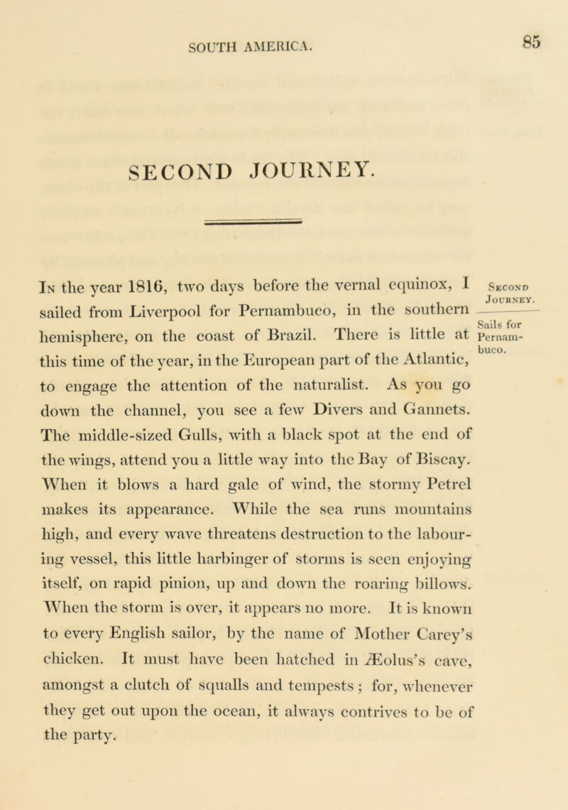 SECOND JOUllNEY. In the year 1816, two days before the vernal equinox, I sailed from Liverpool for Pernambuco, in the southern hemisphere, on the coast of Brazil. There is little at this time of the year, in the European part of the Atlantic, to engage the attention of the naturalist. As you go down the channel, you see a few Divers and Gannets. The middle-sized Gulls, with a black spot at the end of the wings, attend you a little way into the Bay of Biscay. When it blows a hard gale of wind, the stormy Petrel makes its appearance. While the sea runs mountains high, and every wave threatens destruction to the labour- ing vessel, this little harbinger of storms is seen enjoying itself, on rapid pinion, up and down the roaring ]3illows. When the storm is over, it appears no more. It is known to every English sailor, by the name of Mother Carey’s chicken. It must have been hatclied in bolus’s cave, amongst a clutch of squalls and tempests ; for, whenever they get out upon the ocean, it always contrives to be of the party. Second Journey. Sails for Pernam- buco.