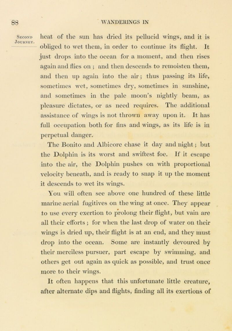 Second Journey. heat of the sun has dried its pellucid wings, and it is obliged to wet them, in order to continue its flight. It just drops into the ocean for a moment, and then rises again and flies on ; and then descends to remoisten them, and then up again into the air; thus passing its life, sometimes wet, sometimes dry, sometimes in sunshine, and sometimes in the pale moon’s nightly beam, as pleasure dictates, or as need requires. The additional assistance of wdngs is not thrown away upon it. It has full occupation both for fins and wings, as its life is in perpetual danger. The Bonito and Albicore chase it day and night; but the Dolphin is its worst and swiftest foe. If it escape into the air, the Dolphin pushes on with proportional velocity beneath, and is ready to snap it up the moment it descends to wet its wings. You will often see above one hundred of these little marine aerial fugitives on the wing at once. They appear to use every exertion to prolong their flight, but vain are all their efforts ; for when the last drop of water on their wings is dried up, their flight is at an end, and they must drop into the ocean. Some are instantly devoured by their merciless pursuer, part escape by swimming, and others get out again as quick as possible, and trust once more to their wings. It often happens that this unfortunate little creature, after alternate dips and flights, finding all its exertions of