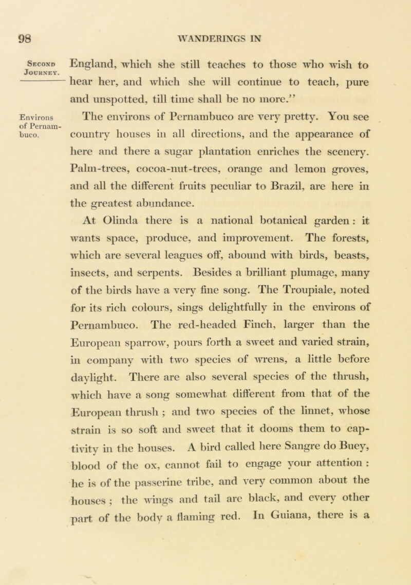 Second JOUKNEY. Environs of Pernam- buco. England, which she still teaches to those who wish to hear her, and which she will continue to teach, pure and unspotted, till time shall be no more.’’ The environs of Pernambuco are very pretty. You see country houses in all directions, and the appearance of here and there a sugar plantation enriches the scenery. Palm-trees, cocoa-nut-trees, orange and lemon groves, and all the different fruits peculiar to Brazil, are here in the greatest abundance. At Olinda there is a national botanical garden : it wants space, produce, and improvement. The forests, which are several leagues off, abound Avith birds, beasts, insects, and serpents. Besides a brilliant plumage, many of the birds have a very fine song. The Troupiale, noted for its rich colours, sings delightfully in the environs of Pernambuco. The red-headed Finch, larger than the European sparrow, pours forth a sweet and varied strain, in company with tAvo species of Avrens, a little before daylight. There are also several species of the thrush, AAEich have a song someAvhat different from that of the European thrush ; and tAVO species of the linnet, aaEosc strain is so soft and SAA^eet that it dooms them to cap- tivity in the houses. A bird called here Sangre do Buey, blood of the ox, cannot fail to engage your attention : he is of the passerine tribe, and very common about the houses ; the AAungs and tail are black, and every other part of the body a flaming red. In Guiana, there is a