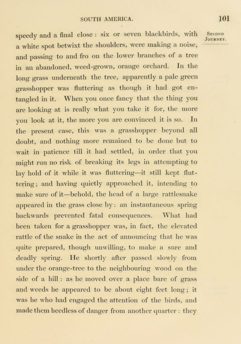 speedy and a final close : six or seven blackbirds, with a Avliite spot betwixt the shoulders, were making a noise, and passing to and fro on the lower branches of a tree in an abandoned, weed-grown, orange orchard. In the long grass imderneath the tree, apparently a pale green grasshopper was llutteriiig as though it had got en- tangled ill it. When you once fancy that the thing you are looking at is really what you take it for, the more you look at it, the more you are convinced it is so. In the present case, this was a grasshopper beyond all doubt, and nothing more remained to be done but to wait in patience till it had settled, in order that you might run no risk of breaking its legs in attempting to lay hold of it while it was fluttering—it still kept flut- tering; and having quietly approached it, intending to make sure of it—behold, the head of a large rattlesnake appeared in the grass close by: an instantaneous spring backwards prevented fatal consequences. What had been taken for a grasshopper was, in fact, the elevated rattle of the snake in the act of annoimcing tliat he was quite prepared, though unwilling, to make a sure and deadly spring. He shortly after passed slowly from under the orange-tree to the neighbouring wood on the side of a hill : as he moved over a place bare of grass and weeds he appeared to be about eight feet long; it was he Avho had engaged the attention of tlie birds, and made them heedless of danger from another quarter : they Second Journey.
