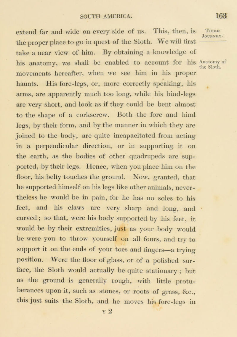 extend far and wide on every side of us. This, then, is the proper place to in quest of the Sloth. We will first take a near view of him. By obtaining a knowledge of his anatomy, we shall be enabled to account for his movements hereafter, when we see him in his proper haunts. His fore-legs, or, more correctly speaking, his arms, are apparently much too long, while his hind-legs are very short, and look as if they could be bent almost to the shape of a corkscrew. Both the fore and hind legs, by their form, and by the manner in which they are joined to the body, are quite incapacitated from acting in a perpendicular direction, or in supporting it on the earth, as the bodies of other quadrupeds are sup- ported, by their legs. Hence, when you place him on the floor, his belly touches the ground. Now, granted, that he supported himself on his legs like other animals, never- theless he would be in pain, for he has no soles to his feet, and his claws are very sharp and long, and curved; so that, were his body supported by his feet, it would be by their extremities, just as your body would be were you to throw yourself on all fours, and try to support it on the ends of your toes and fingers—a trying position. Were the floor of glass, or of a polished sur- face, the Sloth Avould actually be quite stationary ; but as the ground is generally rough, with little protu- berances upon it, such as stones, or roots of gj*ass, &c., this just suits the Sloth, and he moves his fore-legs in Y 2 Third Journey. Anatomy of the Sloth.