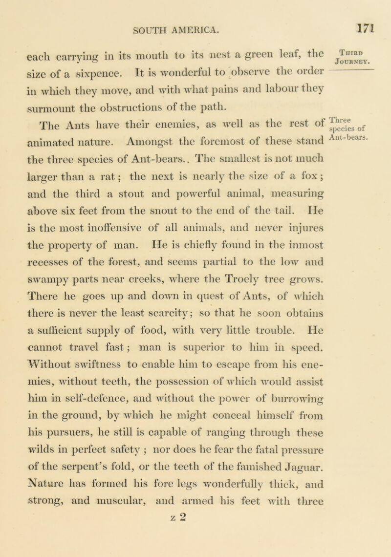 Gcicli carrying in its mouth to its nest a green leaf, the size of a sixpence. It is wonderful to observe the order in which they move, and with what pains and labour they surmount the obstructions of the path. The Ants have their enemies, as well as the rest of animated nature. Amongst the foremost of these stand the three species of Ant-bears.. The smallest is not much larger than a rat; the next is nearly the size of a fox; and the third a stout and powerful animal, measuring above six feet from the snout to the end of the tail. He is the most inoffensive of all animals, and never injures the property of man. He is chiefly found in the inmost recesses of the forest, and seems partial to the Ioav and swampy parts near creeks, where the Troely tree grows. There he goes up and down in quest of Ants, of which there is never the least scarcity; so that he soon obtains a sufficient supply of food, with very little trouble. He cannot travel fast; man is superior to him in speed. Without swiftness to enable him to escape from his ene- mies, without teeth, the possession of which would assist him in self-defence, and without the power of burrowing in the ground, by which he might conceal himself from his pursuers, he still is capable of ranging through these wilds in perfect safety ; nor does he fear the fatal pressure of the serpent’s fold, or the teeth of the famished Jaguar. Nature has formed his fore legs wonderfully thick, and strong, and muscular, and armed his feet with three Third Journey. Three species of Ant-bears.