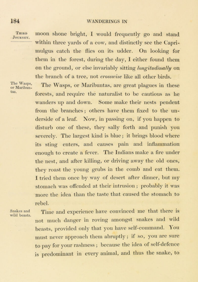 Third Journey, The Wasps, or Maribun- tas. Snakes and wild beasts. moon shone bright, I would frequently go and stand within three yards of a cow, and distinctly see the Capri- inulgus catch the Hies on its udder. On looking for them in the forest, during the day, I either found them on the ground, or else invariably sitting longitudinaUy on the branch of a tree, not cr'ossivise like all other birds. The Wasps, or Maribuntas, are great plagues in these forests, and require the naturalist to be cautious as he wanders up and down. Some make their nests pendent from the branches; others have them fixed to the un- derside of a leaf. Now, in passing on, if you happen to disturb one of these, they sally forth and punish you severely. The largest kind is blue; it brings blood where its sting enters, and causes pain and inflammation enough to create a fever. The Indians make a fire under the nest, and after killing, or driving away the old ones, they roast the young grubs in the comb and eat them. I tried them once by way of desert after dinner, but my stomach was offended at their intrusion; probably it was more the idea than the taste that caused the stomach to rebel. Time and experience have convinced me that there is not much danger in roving amongst snakes and wild beasts, provided only that you have self-command. You must never approach them abruptly; if so, you are sure to pay for your rashness ; because the idea of self-defence is predominant in every animal, and thus the snake, to