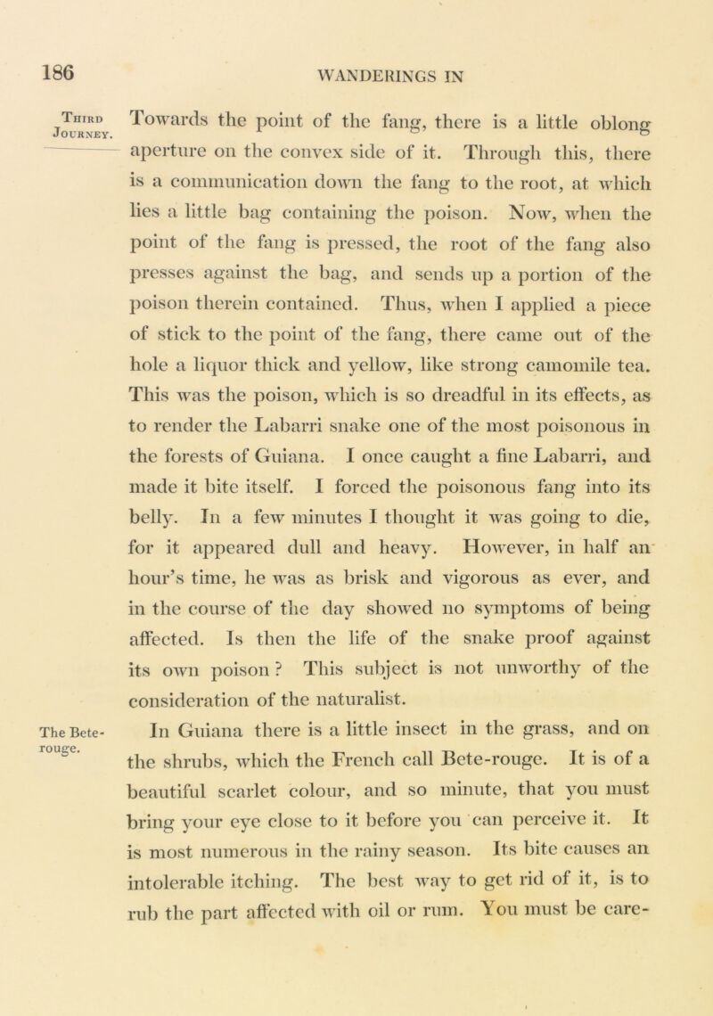 Third Journey. The Bete- rouge. Towards the point of the fang, there is a little oblong aperture on the convex side of it. Through this, there is a comininiication down the fang to the root, at which lies a little bag containing the poison. Noav, when the point of the fang is pressed, the root of the fang also presses against the bag, and sends up a portion of the poison therein contained. Thus, when I applied a piece of stick to the point of the fang, there came out of the hole a liquor thick and yellow, like strong camomile tea. This w^as the poison, which is so dreadful in its effects, as to render the Labarri snake one of the most poisonous in the forests of Guiana. I once caught a fine Labarri, and made it bite itself. I forced the poisonous fang into its belly. In a few minutes I thought it was going to die, for it appeared dull and heavy. However, in half an hour’s time, he was as brisk and vigorous as ever, and in the course of the day showed no symptoms of being affected. Is then the life of the snake proof against its own poison ? This subject is not unworthy of the consideration of the naturalist. In Guiana there is a little insect in the grass, and on the shrubs, which the French call Bete-rouge. It is of a beautiful scarlet colour, and so minute, that yon must bring your eye close to it before yon can perceive it. It is most numerous in the rainy season. Its bite causes an intolerable itching. The best way to get rid of it, is to rub the part affected with oil or rum. You must be care-