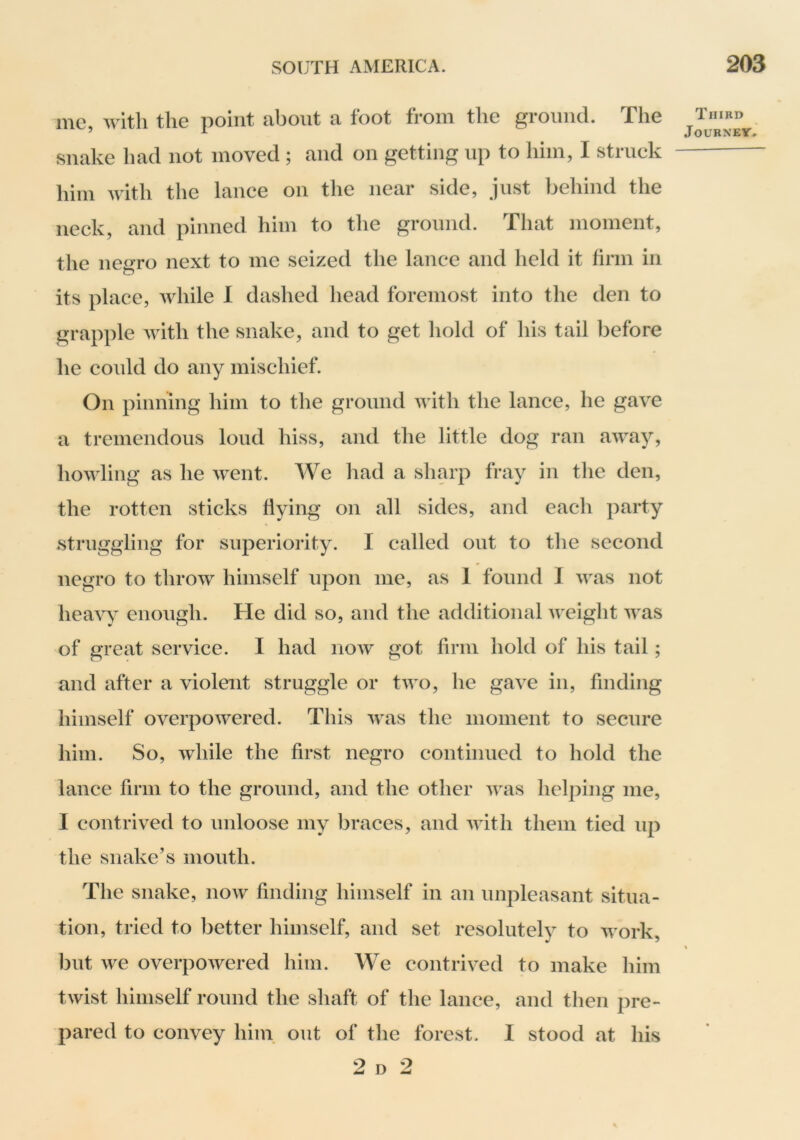 me, with the point about a foot from the ground. The snake had not moved ; and on getting up to him, I struck him with the lance on the near side, just behind the neck, and pinned him to the ground. That moment, the negro next to me seized the lance and held it firm in its place, while 1 dashed head foremost into the den to grapple with the snake, and to get hold of his tail before he could do any mischief. On pinning him to the ground with the lance, he gave a tremendous loud hiss, and the little dog ran away, howling as he went. We had a sharp fray in the den, the rotten sticks flying on all sides, and each party struggling for superiority. I called out to the second negro to throw himself upon me, as 1 found I was not heavy enough. He did so, and the additional Aveight Avas of great service. I had noAV got firm hold of his tail; and after a violent struggle or tAvo, he gave in, finding himself overpoAvered. This Avas the moment to secure him. So, Avhile the first negro continued to hold the lance firm to the ground, and the other Avas helping me, I contrived to unloose my braces, and Avith them tied up the snake’s mouth. The snake, noAv finding himself in an unpleasant situa- tion, tried to better himself, and set resolutely to Avork, but Ave overpoAvered him. We contriA^ed to make him tAvist himself round the shaft of the lance, and tlien pre- pared to convey him out of the forest. I stood at his 2 D 2 Third Journey.