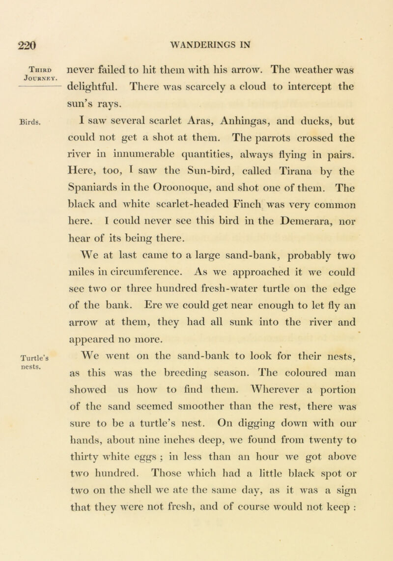 Third Journey. Birds. Turtle’s nests. never failed to hit them with his arrow. The weather was delightful. There was scarcely a cloud to intercept the sun’s rays. I saw several scarlet Aras, Anhingas, and ducks, but could not get a shot at them. The parrots crossed the river in innumerable quantities, always flying in pairs. Here, too, I saw the Sun-bird, called Tirana by the Spaniards in the Oroonoque, and shot one of them. The black and white scarlet-headed Finch was very common here. I could never see this bird in the Demerara, nor hear of its being there. We at last came to a large sand-bank, probably two miles in circumference. As we approached it we could see two or three hundred fresh-water turtle on the edge of the bank. Ere we could get near enough to let fly an arroAV at them, they had all sunk into the river and appeared no more. We went on the sand-bank to look for their nests, as this was the breeding season. The coloured man showed us how to find them. Wherever a portion of the sand seemed smoother than the rest, there was sure to be a turtle’s nest. On digging down with our hands, about nine inches deep, we found from twenty to thirty white eggs ; in less than an hour we got above two hundred. Those which had a little black spot or two on the shell we ate the same day, as it Avas a sign that they Avere not fresh, and of course Avould not keep ;