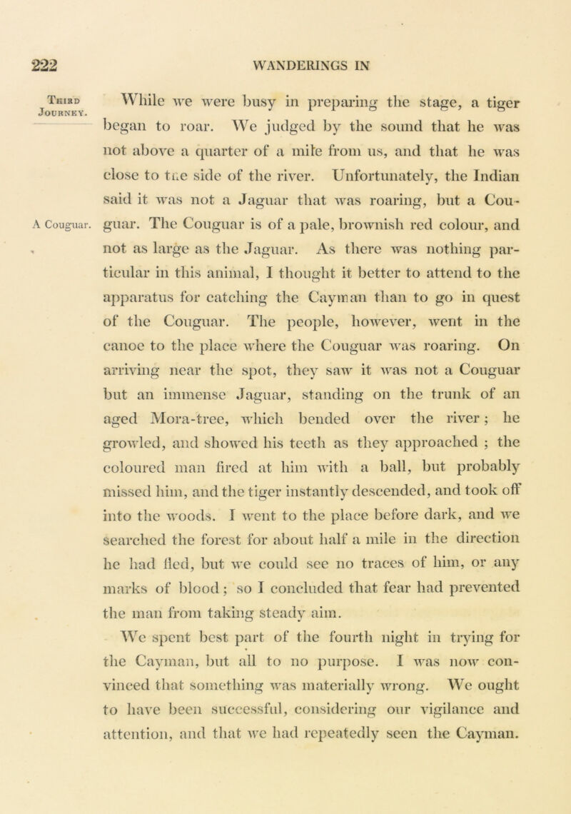 ^ Thikd While we were busy in preparing the stage, a tiger began to roar. We j udged by the sound that he was not above a quarter of a mite from us, and that he was close to tile side of the river. Unfortunately, the Indian said it was not a Jaguar that was roaring, but a Cou- A Couguar. guar. The Couguar is of a pale, brownish red colour, and , not as large as the Jaguar. As there was nothing par- ticular in this animal, I thought it better to attend to the apparatus for catching the Cayman than to go in quest of the Couguar. The people, however, went in the canoe to the place where the Couguar was roaring. On arriving near the spot, they saw it was not a Couguar but an immense Jaguar, standing on the trunk of an aged Mora-tree, which bended over the river; he growled, and showed his teeth as they approached ; the coloured man fired at him with a ball, but probably missed him, and the tiger instantly descended, and took off into the woods. I went to the place before dark, and we searched the forest for about half a mile in the direction he had lied, but we could see no traces of him, or any marks of blood; so I concluded that fear had prevented the man from taking steady aim. We spent best part of the fourth night in trying for the Cayman, but all to no purpose. I was now con- vinced that something was materially wrong. We ought to have been successful, considering our vigilance and attention, and that we had repeatedly seen the Cayman.