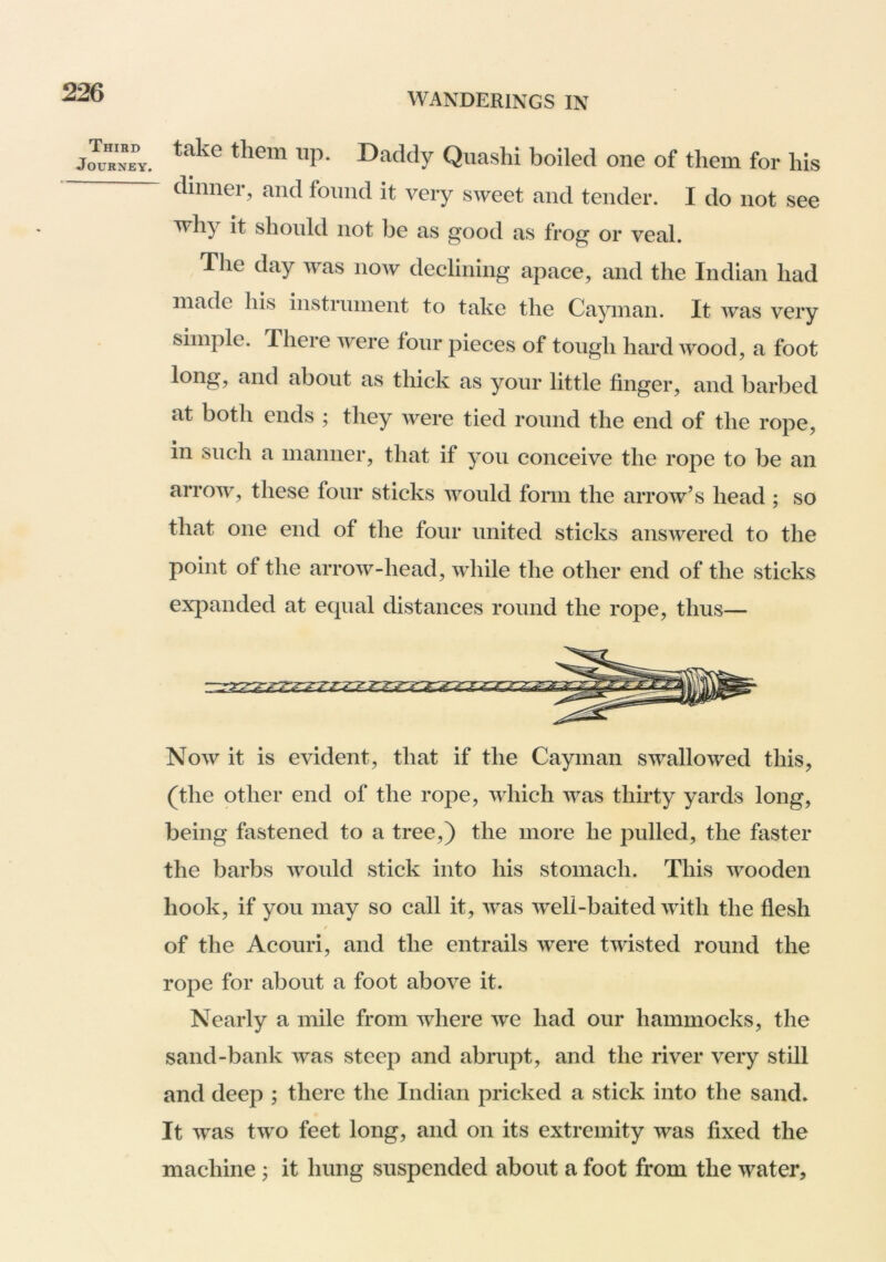 Third Journey. take them up. Daddy Qiiashi boiled one of them for his dinner, and found it very sweet and tender. I do not see why it should not be as good as frog or veal. The day was now declining apace, and the Indian had made his instrument to take the Cayman. It was very simple. Ihere were four pieces of tough hard wood, a foot long, and about as thick as your little finger, and barbed at both ends ; they were tied round the end of the rope, in such a manner, that if you conceive the rope to be an arrow, these four sticks would form the arrow’s head ; so that one end of the four united sticks answered to the point of the arrow-head, while the other end of the sticks expanded at equal distances round the rope, thus— Now it is evident, that if the Cayman swallowed this, (the other end of the rope, which was thirty yards long, being fastened to a tree,) the more he pulled, the faster the barbs would stick into his stomach. This wooden hook, if you may so call it, was weli-baited with the flesh / of the Acouri, and the entrails were twisted round the rope for about a foot above it. Nearly a mile from where we had our hammocks, the sand-bank was steep and abrupt, and the river very still and deep ; there the Indian pricked a stick into the sand. It was two feet long, and on its extremity was fixed the machine ; it hung suspended about a foot from the water,