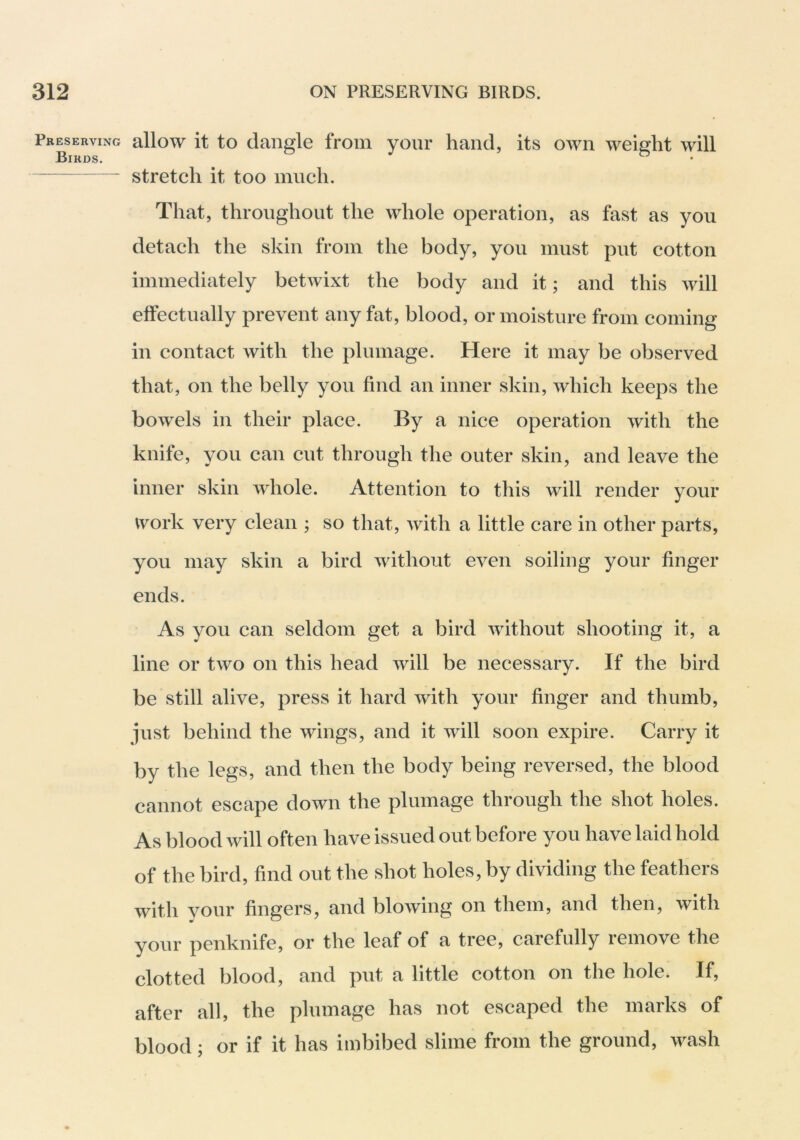 Preseuving allow it to dangle from your hand, its own weight will stretch it too much. That, throughout the whole operation, as fast as you detach the skin from the body, you must put cotton immediately betwixt the body and it; and this will effectually prevent any fat, blood, or moisture from coming in contact with the plumage. Here it may be observed that, on the belly you find an inner skin, which keeps the bowels in their place. By a nice operation with the knife, you can cut through the outer skin, and leave the inner skin whole. Attention to this will render your work very clean ; so that, with a little care in other parts, you may skin a bird without even soiling your finger ends. As you can seldom get a bird without shooting it, a line or two on this head will be necessary. If the bird be still alive, press it hard with your finger and thumb, just behind the wings, and it will soon expire. Carry it by the legs, and then the body being reversed, the blood cannot escape down the plumage through the shot holes. As blood will often have issued out before you have laid hold of the bird, find out the shot holes, by dividing the feathers with vour fingers, and blowing on them, and then, with your penknife, or the leaf of a tree, carefully remove the clotted blood, and put a little cotton on the hole. If, after all, the plumage has not escaped the marks of blood; or if it has imbibed slime from the ground, wash