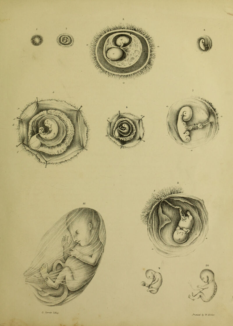 3 G Sp'-aZi- IjJAjCj