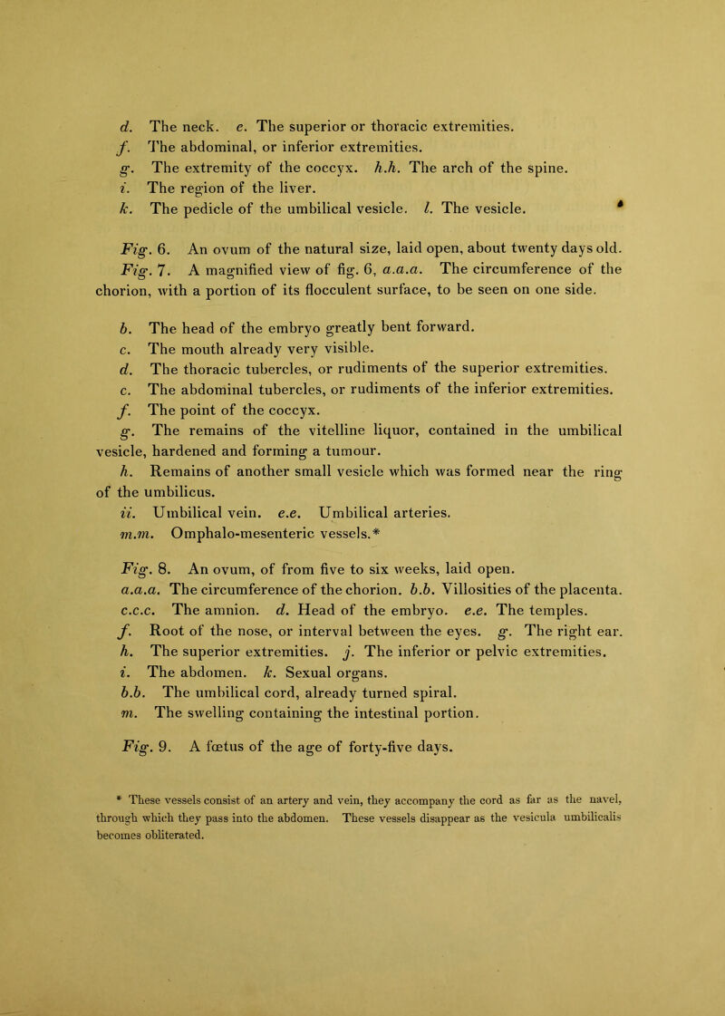 d. The neck. e. The superior or thoracic extremities. f. The abdominal, or inferior extremities. g. The extremity of the coccyx, h.h. The arch of the spine. i. The region of the liver. k. The pedicle of the umbilical vesicle. 1. The vesicle. 4 Fig. 6. An ovum of the natural size, laid open, about twenty days old. Fig. 7. A magnified view of fio;. 6, a.a.a. The circumference of the O O O 7 chorion, with a portion of its flocculent surface, to be seen on one side. b. The head of the embryo greatly bent forward. c. The mouth already very visible. d. The thoracic tubercles, or rudiments of the superior extremities, c. The abdominal tubercles, or rudiments of the inferior extremities. f. The point of the coccyx. g. The remains of the vitelline liquor, contained in the umbilical vesicle, hardened and forming a tumour. h. Remains of another small vesicle which was formed near the ring1 o of the umbilicus. it. Umbilical vein. e.e. Umbilical arteries. m.m. Omphalo-mesenteric vessels.* Fig. 8. An ovum, of from five to six weeks, laid open. a. a.a. The circumference of the chorion, b.b. Villosities of the placenta. c.c.c. The amnion, d. Head of the embryo, e.e. The temples. f. Root of the nose, or interval between the eyes. g. The right ear. h. The superior extremities, j. The inferior or pelvic extremities. i. The abdomen, k. Sexual organs. b. b. The umbilical cord, already turned spiral. m. The swelling containing the intestinal portion. Fig. 9. A foetus of the age of forty-five days. * These vessels consist of an artery and vein, they accompany the cord as far as the navel, through which they pass into the abdomen. These vessels disappear as the vesieula umbilicalis becomes obliterated.