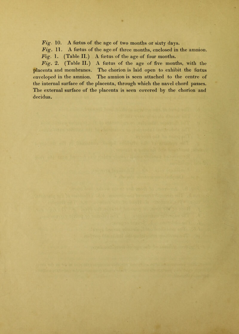 Fig. 10. A foetus of the age of two months or sixty days. Fig. 11. A foetus of the age of three months, enclosed in the amnion. Fig. 1. (Table II.) A foetus of the age of four months. Fig. 2. (Table II.) A foetus of the age of five months, with the placenta and membranes. The chorion is laid open to exhibit the foetus enveloped in the amnion. The amnion is seen attached to the centre of the internal surface of the placenta, through which the navel chord passes. The external surface of the placenta is seen covered by the chorion and decidua.