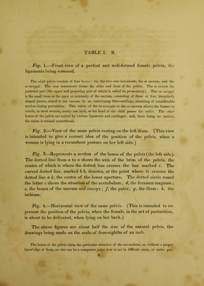 Fig. 1.—Front view of a perfect and well-formed female pelvis, the ligaments being removed. The adult pelvis consists of four bones ; viz. the two ossa innominata, the os sacrum, and the os coccygis. The ossa innominata forms the sides and front of the pelvis. The os sacrum the posterior part (the upper and projecting part of which is called its promontory). The os coccygis is the small bone at the apex or extremity of the sacrum, consisting of three or four irregularly shaped pieces, united to the sacrum by an intervening fibro-cartilage, admitting of considerable motion during parturition. This union of the os coccygis to the os sacrum allows the former to recede, in most women, nearly one inch, as the head of the child passes the outlet. The other bones of the pelvis are united by various ligaments and cartilages ; and, there being no motion y the union is termed synarthrosis. Fig. 2.—View of the same pelvis resting on the left ilium. (This view is intended to give a correct idea of the position of the pelvis, when a woman is lying in a recumbent posture on her left side.) Fig. 3—Represents a section of the bones of the pelvis (the left side). The dotted line from a to a shows the axis of the brim of the pelvis, the centre of which is where the dotted line crosses the line marked i. The curved dotted line, marked b b, denotes, at the point where it crosses the dotted line a Jc, the centre of the lower aperture. The dotted circle round the letter c shows the situation of the acetabulum ; d, the foramen magnum ; e, the bones of the sacrum and coccyx ; f, the pubis; g, the ilium ; /i, the ischium. Fig. 4.—Horizontal view of the same pelvis. (This is intended to re- present the position of the pelvis, when the female, in the act of parturition, is about to be delivered, when lying on her back.) The above figures are about half the size of the natural pelvis, the drawings being made on the scale of four-eighths of an inch. The bones of the pelvis claim the particular attention of the accoucheur, as, without a proper knowledge of them, no one can be a competent judge how to act in difficult cases, or under par- B