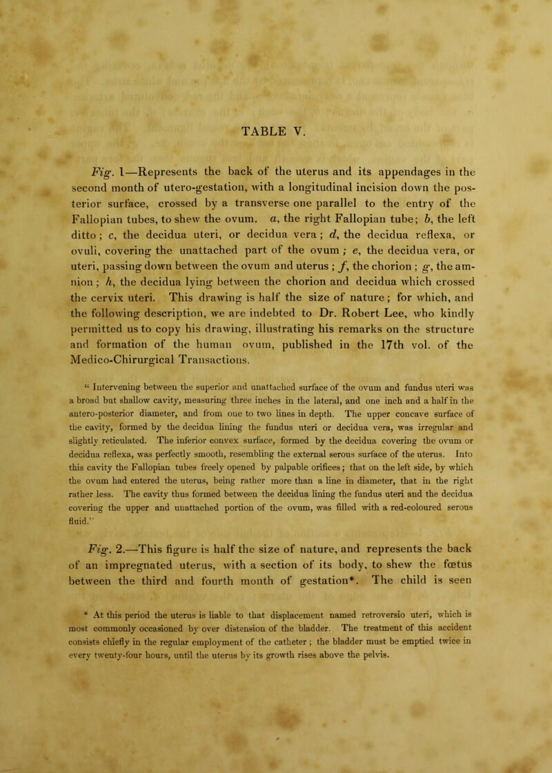 Fig. 1—Represents the back of the uterus and its appendages in the second month of utero-gestation, with a longitudinal incision down the pos- terior surface, crossed by a transverse one parallel to the entry of the Fallopian tubes, to shew the ovum, a, the right Fallopian tube; b, the left ditto ; c, the decidua uteri, or decidua vera ; d, the decidua reflexa, or ovuli, covering the unattached part of the ovum; e, the decidua vera, or uteri, passing down between the ovum and uterus ; f, the chorion ; g, the am- nion ; h, the decidua lying between the chorion and decidua which crossed the cervix uteri. This drawing is half the size of nature; for which, and the following description, we are indebted to Dr. Robert Lee, who kindly permitted us to copy his drawing, illustrating his remarks on the structure and formation of the human ovum, published in the 17th vol. of the Medico-Chirurgical Transactions, “ Intervening between the superior and unattached surface of the ovum and fundus uteri was a broad but shallow cavity, measuring three inches in the lateral, and one inch and a half in the antero-posterior diameter, and from one to two lines in depth. The upper concave surface of the cavity, formed by the decidua lining the fundus uteri or decidua vera, was irregular and slightly reticulated. The inferior convex surface, formed by the decidua covering the ovum or decidua reflexa, was perfectly smooth, resembling the external serous surface of the uterus. Into this cavity the Fallopian tubes freely opened by palpable orifices; that on the left side, by which the ovum had entered the uterus, being rather more than a line in diameter, that in the right rather less. The cavity thus formed between the decidua lining the fundus uteri and the decidua covering the upper and unattached portion of the ovum, was filled with a red-coloured serous fluid.” Fig. 2.—'This figure is half the size of nature, and represents the back of an impregnated uterus, with a section of its body, to shew the foetus between the third and fourth month of gestation*. The child is seen * At this period the uterus is liable to that displacement named retroversio uteri, which is most commonly occasioned by over distension of the bladder. The treatment of this accident consists chiefly in the regular employment of the catheter ; the bladder must be emptied twice in every twenty-four hours, until the uterus by its growth rises above the pelvis.