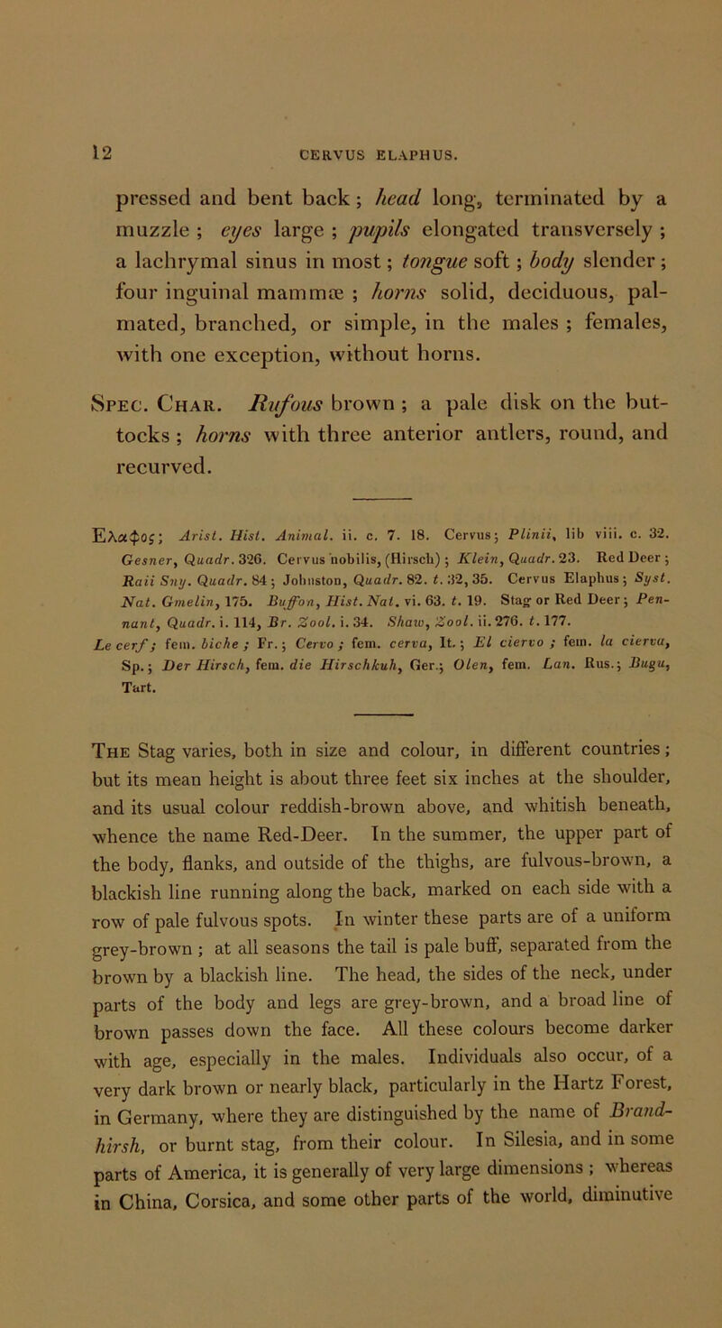 pressed and bent baek; head long, terminated by a muzzle ; eyes large ; pupils elongated transversely ; a lachrymal sinus in most; tongue soft; body slender ; four inguinal mamm£e ; horns solid, deciduous, pal- mated, branched, or simple, in the males ; females, with one exception, without horns. Spec. Char. Rufous brown ; a pale disk on the but- tocks ; horns with three anterior antlers, round, and recurved. EXa^Oj; Arist. Hist, Animal, ii. c. 7. 18. Cervus; Plinii, lib viii. c. 32. Gesner, Quadr. 326. Cervus'nobilis, (Hii’scli) ; Klein, Qaadr. 23. Red Deer; Raii S7ty. Quarfr. 84 ; Johiistoa, Quadr. S2. t. 32, 35. Cervus Elaphus; Syst. Nat. Grnelin, 175. Bnffon, Hist. Nat. vi. 63. t. 19. Stag or Red Deer; Pen- nant, Quadr. i. 114, Br. Zool, i. .34. Shaw, Zool. ii. 276. 1.177. Le cerf; fem. biche ; Fr.; Cervo ; fern, cerva. It.; El ciervo ; fern, la cierva, Sp.; Her Hirsch, fem. die Hirschkuh, Ger.; Glen, fem. Lan. Rus.; Bu^u, Tart. The Stag varies, both in size and colour, in different countries; but its mean height is about three feet six inches at the shoulder, and its usual colour reddish-brown above, and whitish beneath, whence the name Red-Deer. In the summer, the upper part of the body, flanks, and outside of the thighs, are fulvous-brown, a blackish line running along the back, marked on each side with a row of pale fulvous spots. In winter these parts are of a uniform grey-brown ; at all seasons the tail is pale buff, separated from the brown by a blackish line. The head, the sides of the neck, under parts of the body and legs are grey-brown, and a broad line of brown passes down the face. All these colours become darker with age, especially in the males. Individuals also occur, of a very dark brown or nearly black, particularly in the Hartz Forest, in Germany, where they are distinguished by the name of Brand- hirsh, or burnt stag, from their colour. In Silesia, and in some parts of America, it is generally of very large dimensions ; whereas in China, Corsica, and some other parts of the world, diminutive