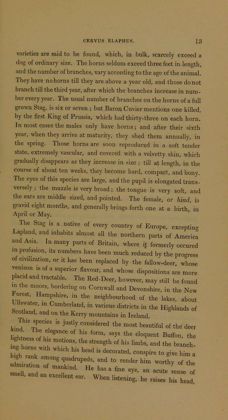 varieties are said to be found, which, in bulk, scarcely exceed a dog of ordinary size. The horns seldom exceed three feet in length, and the number of branches, vary according to the age of the animal. They have no horns till they are above a year old, and those do not branch till the third year, after which the branches increase in num- ber every year. The usual number of branches on the horns of a full grown Stag, is six or seven ; but Baron Cuvier mentions one killed, by the first King of Prussia, which had thirty-three on each horn. In most cases the males only have horns ; and after their sixth year, when they arrive at maturity, they shed them annually, in the spring. Those horns are soon reproduced in a soft tender state, extremely vascular, and covered with a velvetty skin, which gradually disappears as they increase in size ; till at length, in the course of about ten weeks, they become hard, compact, and bony. The eyes of this species are large, and the pupil is elongated trans- versely ; the muzzle is very broad; the tongue is very soft, and the ears are middle sized, and pointed. The female, or hind, is gravid eight months, and generally brings forth one at a birth, in April or May. The Stag is a native of every country of Europe, excepting apland, and inhabits almost all the northern parts of America and Asia. In many parts of Britain, where it formerly occured in profusion, its numbers have been much reduced by the progress of civilization, or it has been replaced by the fallow-deer, whose venison is of a superior flavour, and whose dispositions are more placid and tractable. The Red-Deer, however, may still be found in the moors, bordering on CornwaU and Devonshire, in the New orest, Hampshire, in the neighbourhood of the lakes, about swater, in Cumberland, in various districts in the Highlands of bcotland, and on the Kerry mountains in Ireland. H„?'’Tr“T beautiful of the deer of l»e form, says the eloquent BufFon, the g tness of h|s motions, the strength of his limbs, and the branch- 2 horns with which his head is decorated, conspire to give him a gh rank among quadrupeds, and to render him worthy of the admiration of mankind Mo v.on ^ smell and an .a ii ' ^ ^ sense of meU, and an excellent ear. When listening, he raises his head.