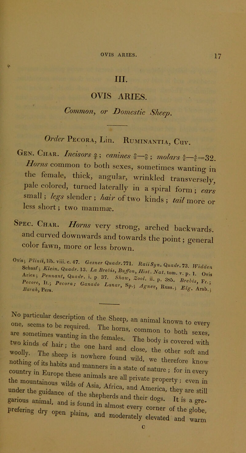 III. OVIS ARIES. Common, or Domestic Sheep. Order Pecora, Lin. Ruminantia, Cuv. Gen. Char. Incisors o; canines molars Horns common to both sexes, sometimes wanting in the female, thick, angular, wrinkled transversely pale colored, turned laterally in a spiral form; ears small; slender ; W of two kinds; tail move ov less short; two mammte. Spec Char. Horns very strong, arched backwards, and curved downwards and towards the point; general color fawn, more or less brown. Ge.«erQ«arfr.771. RaiiSyn.Quadr.73. Widden ^haaf; Klern. Quadr. ,3. £a Brebis, Buffon, Hist. Nat. tom. v. p. i o A.ies; Pennant, Quadr. i. p 37. Sbaw, Zool. ii. „ 3^5 J,.' ° Reoore, It.; Pecora; Canada Lanar, Sp.; Russ’ ’ Barak, Peis. ’ ^^gnez, Russ.; Big. Ar&h.- No particular description of the Sheep, an animal known to everv one, seems to be reauired THa lira every are sometimes wann’T^r the two kinds of hair • thp u j  covered with woolly. The sheep is nTh r nothing of hs habTtLL ™ coun4 in trfpe the* “ ' f” ‘-very the mountainous wilds ofTsk^ Ar^ ^ jT* property; even in under the guidance o7 the r u garious anLal. ::dl Lu„it ?“ prefering dry open nlain j S'°'=o,