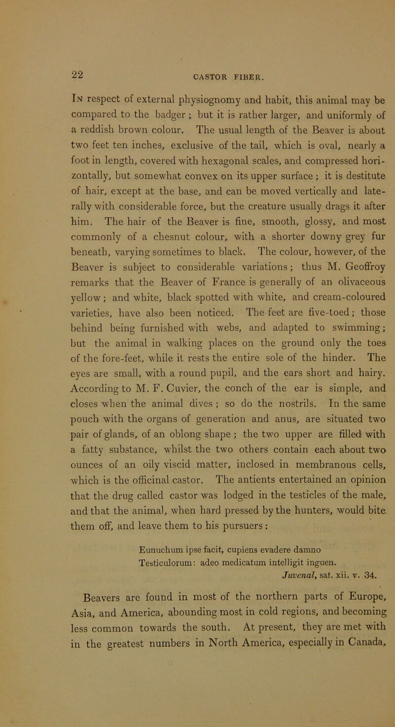In respect of external physiognomy and habit, this animal may be compared to the badger ; but it is rather larger, and uniformly of a reddish brown colour. The usual length of the Beaver is about two feet ten inches, exclusive of the tail, which is oval, nearly a foot in length, covered with hexagonal scales, and compressed hori- zontally, but somewhat convex on its upper surface ; it is destitute of hair, except at the base, and can be moved vertically and late- rally with considerable force, but the creature usually drags it after him. The hair of the Beaver is fine, smooth, glossy, and most commonly of a chesnut colour, with a shorter downy grey fur beneath, varying sometimes to black. The colour, however, of the Beaver is subject to considerable variations; thus M. Geofiroy remarks that the Beaver of France is generally of an olivaceous yellow ; and white, black spotted with white, and cream-coloured varieties, have also been noticed. The feet are five-toed; those behind being furnished with webs, and adapted to swimming ; but the animal in walking places on the ground only the toes of the fore-feet, while it rests the entire sole of the hinder. The eyes are small, with a round pupil, and the ears short and hairy. According to M. F. Cuvier, the conch of the ear is simple, and closes when the animal dives ; so do the nostrils. In the same pouch with the organs of generation and anus, are situated two pair of glands, of an oblong shape ; the two upper are filled with a fatty substance, whilst the two others contain each about two ounces of an oily viscid matter, inclosed in membranous cells, which is the officinal castor. The antients entertained an opinion that the drug called castor was lodged in the testicles of the male, and that the animal, when hard pressed by the hunters, would bite them off, and leave them to his pursuers; Eunuchum ipse facit, cupiens evadere damno Testiculorum; adeo medicatum intelligit inguen. Juvenal, sat. xii. v. 34. Beavers are found in most of the northern parts of Europe, Asia, and America, abounding most in cold regions, and becoming less common towards the south. At present, they are met with in the greatest numbers in North America, especially in Canada,
