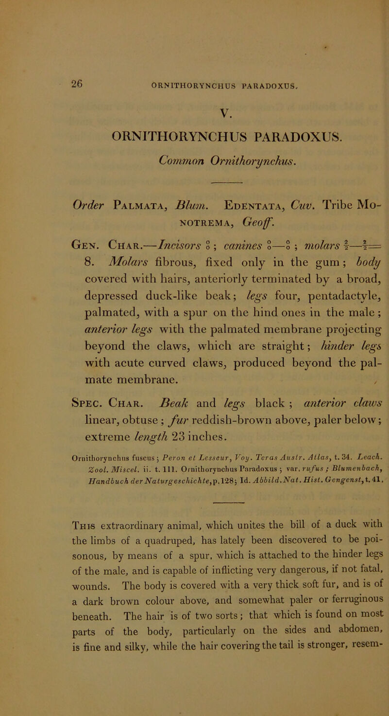 V. ORNITHORYNCHUS PARADOXUS. Common Ornithorynchm. Order Palmata, Blum. Edentata, Cuv. Tribe Mo- NOTREMA, Geoff. Gen. Char.—Incisors o ; canines o—o ; molars \—t= 8. Molars fibrous, fixed only in the gum; body covered with hairs, anteriorly terminated by a broad, depressed duck-like beak; legs four, pentadactyle, pal mated, with a spur on the hind ones in the male ; anterior legs with the palmated membrane projecting beyond the claws, which are straight; hinder legs with acute curved claws, produced beyond the pal- mate membrane. / Spec. Char. Beak and legs black ; anterior claws linear, obtuse ; fur reddish-brown above, paler below; extreme length 23 inches. Ornithorynchiis fuscus; Peron et Lesseur, Voy. Teras Ausir. Atlas, t. 34. Leach. Zool. Miscel. ii. t. III. Ornithorynchus Paradoxus ; \ar, rufus ; Blumenbach, Uandbuch derNatvrgeschichte,^.HSj Id. Abbild.Nat, Hist. Qengenst, t. 41, This extraordinary animal, which unites the bill of a duck with the limbs of a quadruped, has lately been discovered to be poi- sonous, by means of a spur, which is attached to the hinder legs of the male, and is capable of inflicting very dangerous, if not fatal, wounds. The body is covered with a very thick soft fur, and is of a dark brown colour above, and somewhat paler or ferruginous beneath. The hair is of two sorts; that which is found on most parts of the body, particularly on the sides and abdomen, is fine and silky, while the hair covering the tail is stronger, resem-