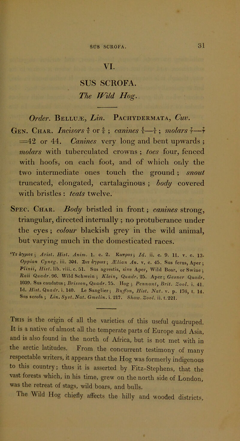 VI. SUS SCROFA, The Wild Hog.. Order. Bellu^, Lin. Pachydermata, Cuv. Gen. Char. Incisors I or t ; canines t—t ; molars -f—f =42 or 44. Canines very long and bent upwards ; molars with tuberculated crowns ; toes four, fenced with hoofs, on each foot, and of which only the two intermediate ones touch the ground; snout truncated, elongated, cartalaginous ; body covered with bristles : teats twelve. Spec. Char. Body bristled in front; canines strong, triangular, directed internally ; no protuberance under the eyes ; colour blackish grey in the wild animal, but varying much in the domesticated races. ‘Ts aypios ; Arist. Hist. Anim. 1. c. 2. Kairpos', Id, ii. c. 9. 11. v. c. 13. Oppian Cyneg. iii. 304. aypios-, Mlian An. v. c. 45. Sus ferus, Aper; PUnii, lib. viii. c. 51. Sus agrestis, sive Aper, Wild Boar, or Swine; Raii Quadr.Q6. Wild Schwein ; Klein, Quadr.'i.b. Aper;Gejner Quadr. 1039. Sus caudatus; Rrmon, Q«adr. 75. Hog-; Pennant, Brit. Zool. i. 41. Id. Hist. Quadr. i. 140. Le Sanglier; Buffon, Hist, Nat. v. p. 176, t. 14. Sus scrofa ; Lin, Syst,Nat, Gmelin. i. 217. Shaw. Zool. ii. t. 221. This is the origin of all the varieties of this useful quadruped. It is a native of almost all the temperate parts of Europe and Asia, and is also found in the north of Africa, but is not met with in the arctic latitudes. From the concurrent testimony of many respectable writers, it appears that the Hog was formerly indigenous to this country; thus it is asserted by Fitz-Stephens, that the vast forests which, in his time, grew on the north side of London, was the retreat of stags, wild boars, and bulls. The Wild Hog chiefly affects the hilly and wooded districts.