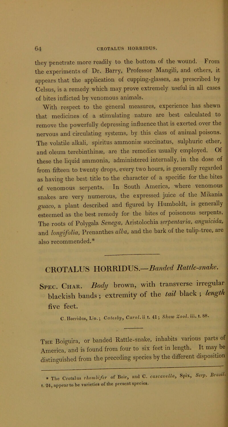 they penetrate more readily to the bottom of the wound. From the experiments of Dr. Barry, Professor Mangili, and others, it appears that the application of cupping-glasses, .as prescribed by Celsus, is a remedy which may prove extremely useful in all cases of bites inflicted by venomous animals. With respect to the general measures, experience has shewn that medicines of a stimulating nature are best calculated to remove the powerfully depressing influence that is exerted over the nervous and circulating systems, by this class of animal poisons. The volatile alkali, spiritus ammoniee succinatus, sulphuric ether, and oleum terebinthinse, are the remedies usually employed. Of these the liquid ammonia, administered internally, in the dose of from fifteen to twenty drops, every two hours, is generally regarded as having the best title to the character of a specific for the bites of venomous serpents. Tn South America, where venomous snakes are very numerous, the expressed juice of the Mikania guaco, a plant described and figured by Humboldt, is generally esteemed as the best remedy for the bites of poisonous serpents. The roots of Polygala Senega, Aristolochia serpentaria. anguicida, and longifolia, Prenanthes alia, and the bark of the tulip-tree, are also recommended.* CROTALUS HORRIDUS.—Hattle-snake. Spec. Char. Body brown, with transverse irregular blackish bands ; extremity of the tail black ; length five feet. C.IIorridus, Lin.; Catesby, CaroLiit. 41; Shaw Zool. in. t. SS. The Boiguira, or banded Rattle-snake, inhabits various parts of America, and is found from four to six feet in length. It may be distinguished from the preceding species by the diflferent disposition * The Crotalus rhombifer of Boie, and C. cascavella, Spix, Serp. Brasil- t. 24, appear to be varieties of liie present species.