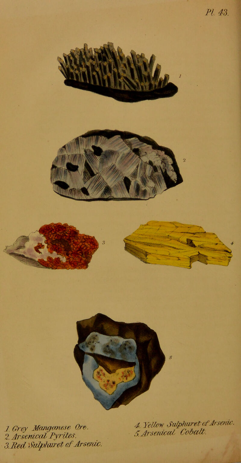 PI 4?>. 3 / Grey Manganese Ore/. 2. Arsenical Pyrites. S.Red dutplairet of Arsenic. 4. Yeilon' Suiphuret of Arsenic. A.Arsenica/.^ Cobalt.