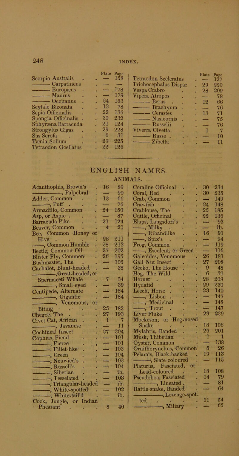 248 Plate Page Plate Paj?c Scorpio Australis . 158 Tetraodon Sceleratus 127 Carpathicus . — — Trichocephalus Dispar . 29 220 Europseus . 178 Vespa Crabro . 28 209 ■ Maurus . — 179 Vipera Atropos , 78 24 153 TO fifi Scytale Bizonata . 13 78 — Brachyura . • IZ 76 Sepia Officinalis . 22 136 Cerastes . 13 71 Spongia Officinalis . . 30 2.32 Nasicornis . 75 Sphyraena Barracuda . 21 124 Russelii _ 76 Strongylus Gigas . 29 228 Viverra Civetta . 1 7 Sus Scrofa . 6 31 Rasse . 10 Taenia Solium . 29 225 Zibetta 1 11 Tetraodon Ocellatus . 22 126 ENGLISH NAMES. ANIMALS. Acanthophis, Brown’s 16 89 Coral ine Officinal . 30 234 , Palpebral — 90 Coral, Red 30 235 Adder, Common 12 66 Crab, Common 149 .Puff . .— 76 Crawfish 24 148 Armadillo, Common 24 150 Crablouse, The 25 185 Asp, or Aspic . — 87 Cuttle, Officinal 22 136 Barracuda Pike 21 124 Elaps, Langsdorfs . — 93 Beaver, Common 4 21 , Milky . — ib. Bee, Common Honey or , Ribandlike 16 91 Hive .... 28 211 , Spix’s — 94 , Common Humble . 28 213 Frog, Common — 119 Beetle, Common Oil 27 202 , Esculent, or Green , — 116 Blister Fly, Common 26 195 Galeoides, Venomous 26 181 Bushmaster, The _ 105 Gall-Nut Insect 27 208 Cachalot, Blunt-headed . 38 Gecko, The House . 9 48 .Great-headed, or Hog, The Wild 6 31 Spermaceti Whale 7 34 Hornet .... 28 209 1 , Small-eyed — 39 Hydatid 29 230 Centipede, Alternate — 184 Leech, Horse . 23 140 - , Gigantic — 184 , Lisbon . — 147 j IVTpflirinal - — 148 Biting 25 182 , Trout . — 147 Chegoe, The . 27 193 Liver Fluke 29 229 Civet Cat, African . 1 7 Mockeson, or Hog-nosed , Javanese 11 Snake 18 106 Cochineal Insect 27 204 Mylabris, Banded . 26 201 Cophias, Fiend 101 Musk, Thibelian 1 1 —, Fierce . , 101 Oyster, Common — 138 _——, Fillet-like . — 103 Ornithorynchus, Common 5 26 , Green 104 Pelamis, Black-backed 19 113 , Neuwied’s . 102 , Slate-coloured — 115 ■, Russell’s - --I 104 Platurus, Fasciated, or , Siberian ib. Lead-coloured 18 108 , Tesselated . 103 Pseudoboa, Fasciated 14 79 , T.ineated . - 81 , White-spotted — 102 Rattle-snake, Banded — 64 , White-tail’d — ib. , Lozenge-spot- Cock, Jungle, or Indian ted .... 11 54 65