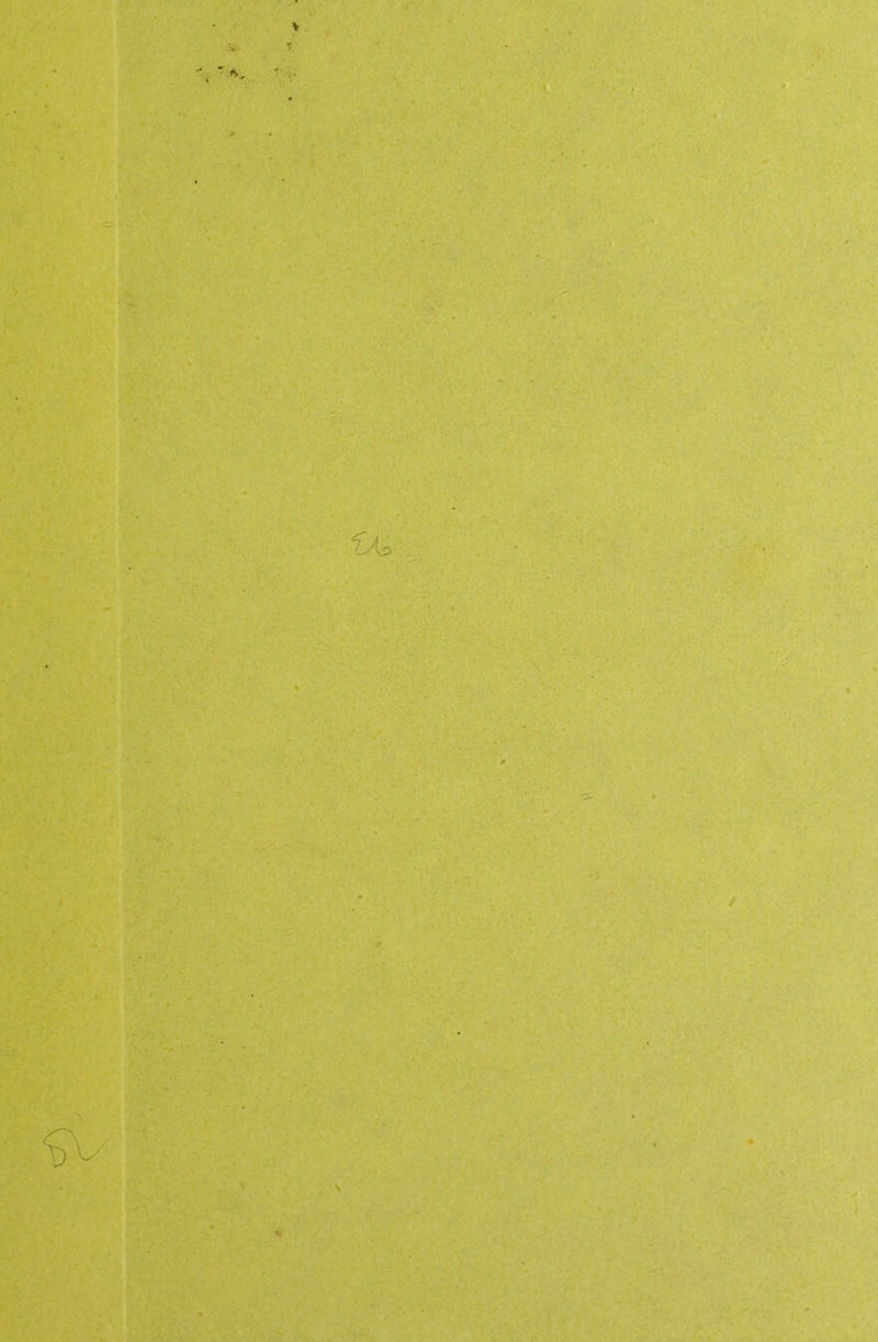 ■» ■ ■*> V > fry 1M '