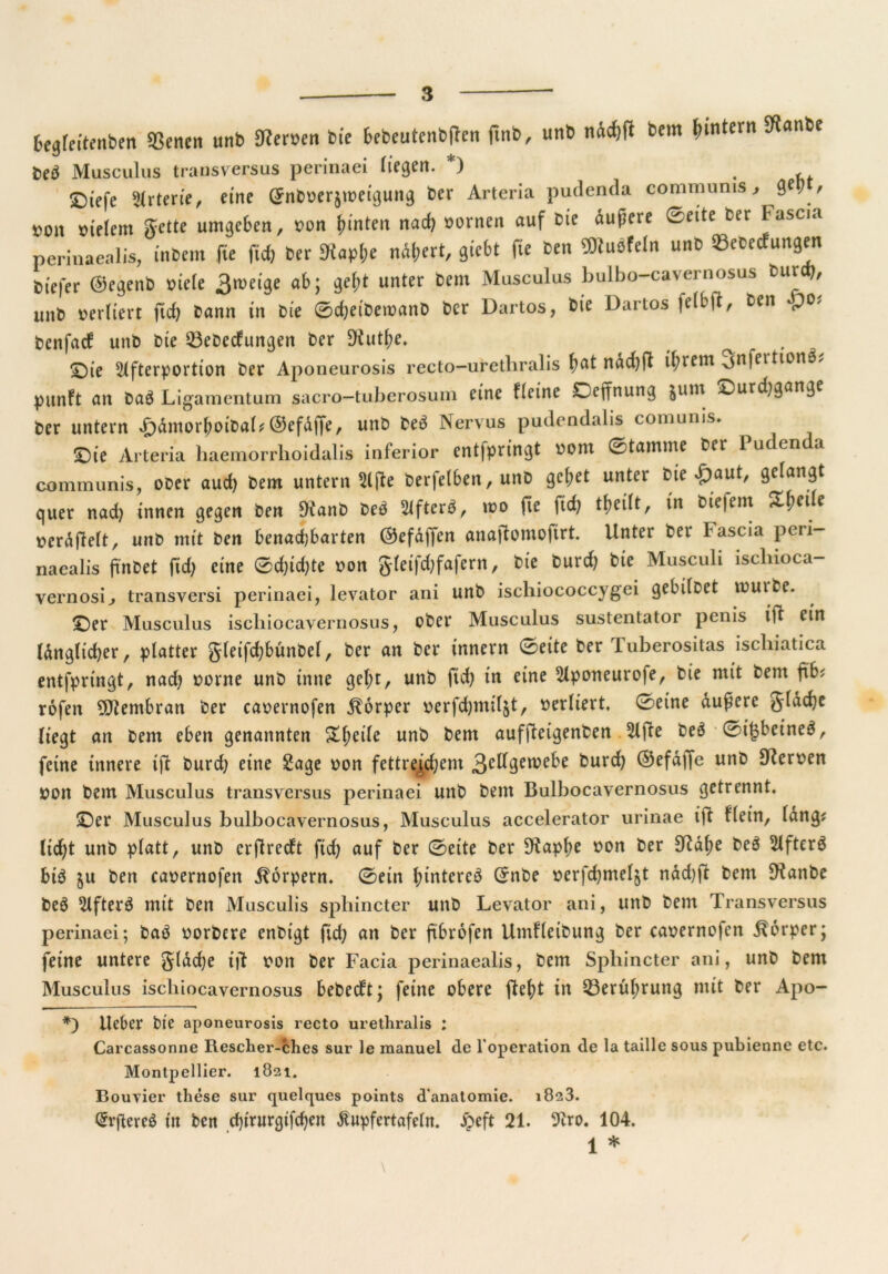 freglntenben SSencn unb 9?er»en bie bcbeutcnbjten ftnb, unb nndjfi bem Jjmtern 9tanbe tei Musculus transversus perinaei liegen. *) ©iefc örterte, eine (£nbberpbetgung ber Arteria pudenda communis, 9ev / #on bielem Jette umgeben, bon hinten nad) bornen auf bie dupere 0eite ber 1 ascia perinaealis, inbem fie fid) ber Diapl;e ndl;ert, giebt fie ben ^ubfeln unb 23ebecfungen biefer ©egenb biele 3weige ab; gel;t unter bem Musculus bulbo-cavernosus burd?, unb verliert fid) bann in Die 0d)etbeibanD ber Dartos, bie Dartos |elbft, Den benfaef unb bie 23ebecfungen ber $Kuthe. ^ ©ie 9lfterportton ber Aponeurosis recto-uretbralis ^at ndd)(l i^rem ^nfeitton^ punft an baö Ligamentum sacro—tuberosum eine Heine Ccftnung junr .^urdjgange ber untern ^dmorboibat. ©efdffe, unb be$ Nervus pudendalis comunis* ©ie Arteria haemorrhoidalis inferior ent|pringt bom 0tamme ber 1 ucbm a communis, ober aud) bem untern Slfte berfelben, unb gebet unter bie £aut, gelangt quer nad) innen gegen ben 9tanb beö 2tfterö, wo fie fid) tbcüt, in biefem ? beraflelt, unb mit ben benachbarten ©efaffen anajlomofirt. Unter ber I ascia peri- naealis ftnbet fid) eine 0d)id)te bon gleifchfafern, bie burd) bie Musculi iscliioca- vernosi, transversi perinaei, levator ani unb iscliiococcygei gebiloet tbutbe. ©er Musculus iscbiocavernosus, ober Musculus sustentator penis i|t ein Idnglidjer, platter gleifd)bunbel, ber an ber innern ©eite ber Tuberositas ischiatica entfpringt, nad) borne unb tnne gebtr uub fW in eine dponeurofe, bie mit bem fab; rofen Membran ber cabernofen Körper verfd;miljtr verliert. 0eine dupere glad)e liegt an bem eben genannten &bcde unb ^em auffteigenben We beö 0t$beine$, feine innere tjl burd) eine Sage bon fettreichem 3d^gftvebe burch ©efdffe unb Serben bon bem Musculus transversus perinaei unb bem Bulbocavernosus getrennt. ©er Musculus bulbocavernosus, Musculus accelerator urinae ift Hein, lang? lid)t unb platt, unb crflrecft fid) auf ber 0eite ber 9^apf)e bon ber 3^a^e beö tUftcrö bi$ ju ben cabernofen Körpern. 0etn h>intercö C5nbe berfchmeljt ndd)ft bem ^Kanbe be$ 2lfter3 mit ben Musculis sphincter unb Levator ani, unb bem Transversus perinaei; ba$ borbere enbtgt fid) an ber ftbrvfen UmHeibung ber cabernofen Körper; feine untere gldche ttf bon ber Facia perinaealis, bem Sphincter ani, unb bem Musculus iscliiocavernosus bebeeft; feine obere fleht in 23erul)rung mit ber Apo- *) Heber bie aponeurosis recto urethralis : Carcassonne Rescher-ches sur le raanuel de loperation de la taille sous pubienne etc. Montpellier. 1821. Bouvier these sur quelques points d'anatomie. 1823. Qrrflereä in ben d)trurgifchcn ßupfertafeln. §eft 21. 9ho. 104. \ *