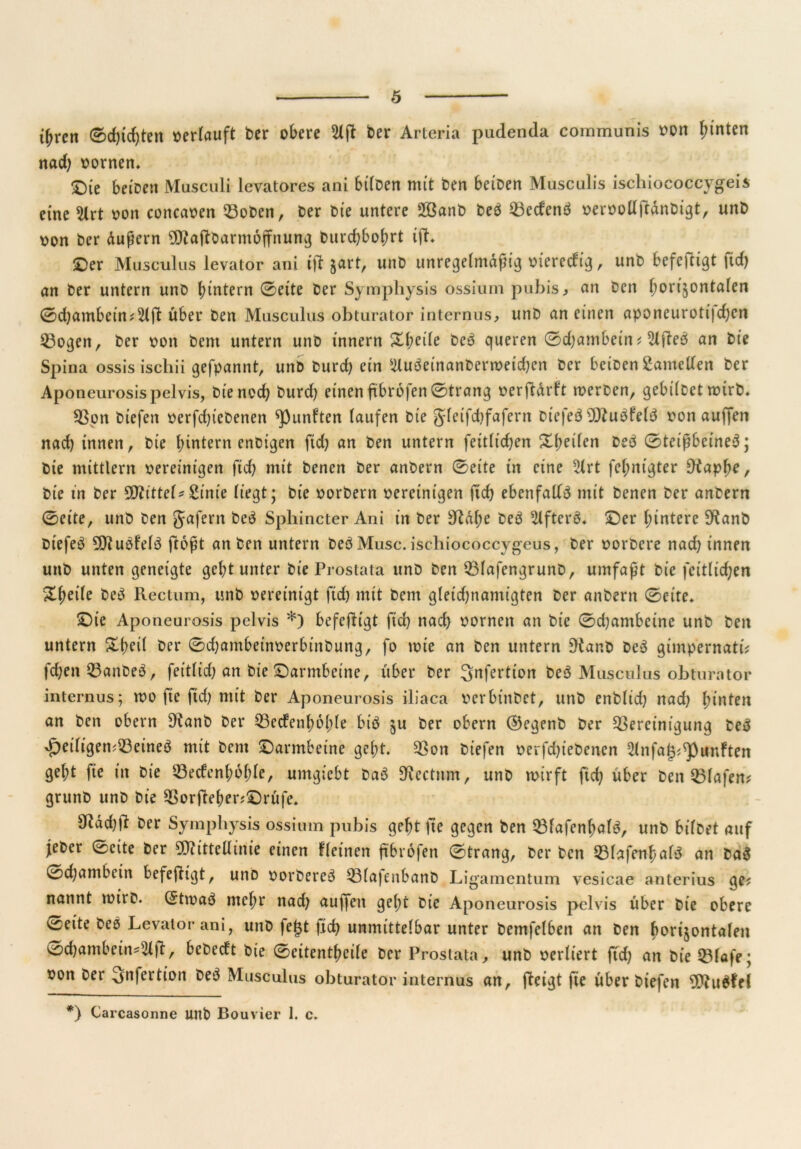 tfjren 0d)id)ten »erlauft ber obere 2lft ber Arteria pudenda communis von hinten nad) »ornen* £)te beioett Musculi lcvatores ani bilben mit ben beiben Musculis ischiococcygeis eine $lrt von concaven ©oben, ber bie untere 2Banb beb Becfenb »ervolljtänbigt, unb »on ber äußern Maßbarntoffnung burd)bobrt ift. ©er Musculus levator ani ißt gart, unb unregelmäßig »ierecfig , unb befeftigt ftd) an ber untern unb ^intern ©eite ber Symphysis ossium pubis, an ben horizontalen 0d)ambein?3lfl über ben Musculus obturator internus, unb an einen aponeuroti|d)cn Bogen, ber von bcnt untern unb innern 2d;cde beb queren Bdjambeitu 2lfieb an bie Spina ossis iscliii gefpannt, unb burd) ein sdubeinanben»eid)en ber beiben Lamellen ber Aponeurosis pelvis, bie noch burd) einen ftbrofen 0trang »erftärft werben, gebilbet wirb, Bon biefen »erfd)icbenen fünften laufen bte gfetfcbfafern bt'efeb Mubfelb von auffen nad) innen, bie !>intern enbigen ftd) an ben untern feitlid)en 3H;eilen beb 0tctß6etne5; bie mittlern vereinigen ftd) mit benen ber anbern (Beite in eine 5lrt fcfjmgter 9tapbe, bie in ber Mittel* Sinte liegt; bie »orbern vereinigen ftd} ebenfalls mit benen ber anbern 0eite, unb ben gafent beb Sphincter Ani in ber dtäf;e beb tUftcrö* ©er (untere S^anb bt'efeö Mubfelb floßt an ben untern beb Muse, ischiococcygcus, ber vorbere nad) innen unb unten geneigte gebt unter bie Prostata unb ben Blafengrunb, umfaßt bie fcitlid)en &(uile beb Rectum, unb vereinigt ftd) mit bent gleidptamigten ber anbern 0eite* ©te Aponeurosis pelvis *) befeftigt ftd) nad) vornen an bie 0d)ambeine unb ben untern £bri( ber 0d)ambetnverbinbung, fo tote an ben untern 9tar.b beb gimpernati? fdjen Banbeb, feitlid) an bie ©armbeine, über ber Qnfertion beb Musculus obturator internus; wo fte ftd) mit ber Aponeurosis iliaca verbinbet, unb enblid) nad) hinten an ben obern SRanb ber Becfenboble bib zu ber obern ®egenb ber Bereinigung beb <£)eiligen?Beineb mit bcnt ©armbeine gebt. Bon biefen »erfd)t'ebenen 2lnfaj3?<punften gebt fte in bie Becfenboble, umgiebt bab Rectum, unb wirft ftd) über ben Blafen? grunb unb bie Borfteber?©rüfe, ft?äd)ft ber Symphysis ossium pubis gebt fte gegen ben Blafenbalb, unb bt'lDet auf jeher 0ctte ber Mittellinie einen Reinen ftbrofen 0trang, ber ben Blafenbalb an bab 0d)ambcin befeftigt, unb vorbereb Blajenbanb Ligamentum vesicae anterius ge? nannt tvirb. (5ttvab mehr nad) au||en gebt bie Aponeurosis pelvis über bie obere ^eite beo Levator ani, unb fe£t fid) unmittelbar unter bemfelben an ben horizontalen od)ambein*s2lft, bebedt bie 0eitentbeile ber Prostata, unb verliert ftd) an bieBlafe; von ber Qnfertion beb Musculus obturator internus an, fteigt fie über biefen Mubfel *) Carcasonne UJtb Bouvier 1. c.