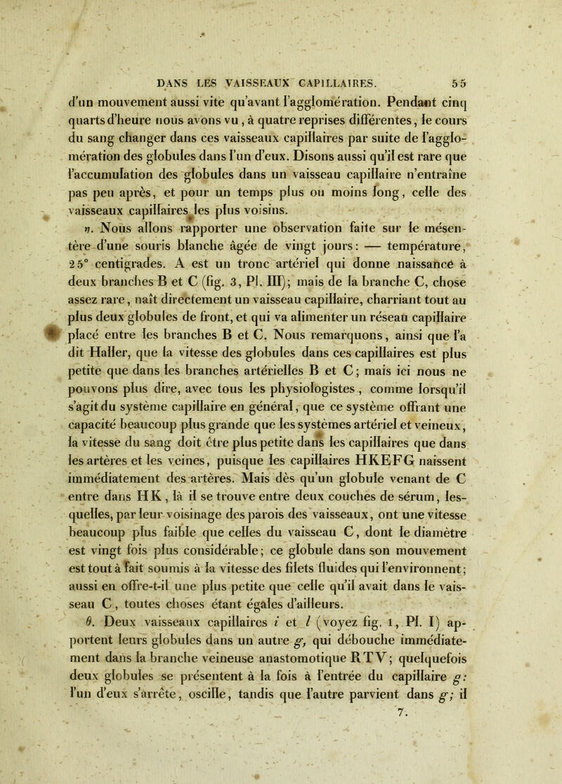 d’un mouvement aussi vite qu’avant l’agglomération. Pendant cinq quarts d’heure nous avons vu , à quatre reprises différentes, le cours du sang changer dans ces vaisseaux capillaires par suite de l’agglo- mération des globules dans l’un deux. Disons aussi qu’il est rare que l’accumulation des globules dans un vaisseau capillaire n’entraîne pas peu après, et pour un temps plus ou moins long, celle des vaisseaux capillairesjes plus voisins. v. Nous allons rapporter une observation faite sur le mésen- tère d’une souris blanche âgée de vingt jours: — température, 2 5° centigrades. A est un tronc artériel qui donne naissancé à deux branches B et C (fig. 3, PI. III); mais de la branche C, chose assez rare, naît directement un vaisseau capillaire, charriant tout au plus deux globules de front, et qui va alimenter un réseau capillaire ♦ placé entre les branches B et C. Nous remarquons, ainsi que l’a dit Haller, que la vitesse des globules dans ces capillaires est plus petite que dans les branches artérielles B et C; mais ici nous ne pouvons plus dire, avec tous les physiologistes, comme lorsqu’il s’agit du système capillaire en général, que ce système offrant une capacité beaucoup plus grande que les systèmes artériel et veineux, la vitesse du sang doit être plus petite dans les capillaires que dans les artères et les veines, puisque les capillaires HKEFG naissent immédiatement des artères. Mais dès qu’un globule venant de C entre dans H K , là il se trouve entre deux couches de sérum, les- quelles, par leur voisinage des parois des vaisseaux, ont une vitesse beaucoup plus faible que celles du vaisseau C, dont le diamètre est vingt fois plus considérable ; ce globule dans son mouvement est tout à fait soumis à la vitesse des filets fluides qui l’environnent; aussi en offre-t-il une plus petite que celle qu’il avait dans le vais- seau C , toutes choses étant égales d’ailleurs. 0. Deux vaisseaux capillaires i et / (voyez fig. 1, PI. I) ap- portent leurs globules dans un autre g, qui débouche immédiate- ment dans la branche veineuse anastomotique R TV ; quelquefois deux globules se présentent à la fois à l’entrée du capillaire g: l’un d’eux s’arrête, oscille, tandis que l’autre parvient dans g; il 7.