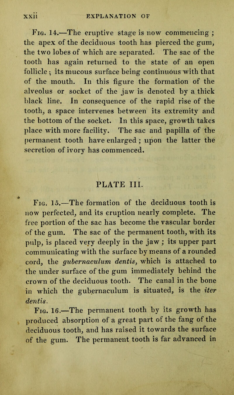 Fig. 14.—The eruptive stage is now commencing ; the apex of the deciduous tooth has pierced the gum, the two lobes of which are separated. The sac of the tooth has again returned to the state of an open follicle ; its mucous surface being continuous with that of the mouth. In this figure the formation of the alveolus or socket of the jaw is denoted by a thick black line. In consequence of the rapid rise of the tooth, a space intervenes between its extremity and the bottom of the socket. In this space, growth takes place with more facility. The sac and papilla of the permanent tooth have enlarged; upon the latter the secretion of ivory has commenced. PLATE III. * Fig. 15.—The formation of the deciduous tooth is now perfected, and its eruption nearly complete. The free portion of the sac has become the vascular border of the gum. The sac of the permanent tooth, with its pulp, is placed very deeply in the jaw; its upper part communicating with the surface by means of a rounded cord, the gubernaculum dentis, which is attached to the under surface of the gum immediately behind the crown of the deciduous tooth. The canal in the bone in which the gubernaculum is situated, is the iter dentis. Fig. 16.—The permanent tooth by its growth has produced absorption of a great part of the fang of the deciduous tooth, and has raised it towards the surface of the gum. The permanent tooth is far advanced in