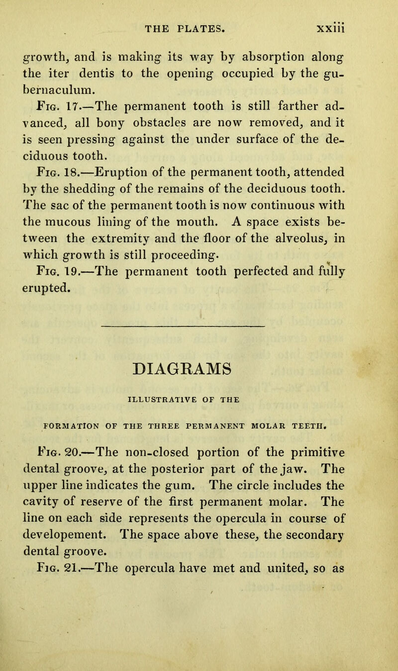 growth, and is making its way by absorption along the iter dentis to the opening occupied by the gu- bernaculum. Fig. 17—The permanent tooth is still farther ad- vanced, all bony obstacles are now removed, and it is seen pressing against the under surface of the de- ciduous tooth. Fig. 18.—Eruption of the permanent tooth, attended by the shedding of the remains of the deciduous tooth. The sac of the permanent tooth is now continuous with the mucous lining of the mouth. A space exists be- tween the extremity and the floor of the alveolus, in which growth is still proceeding. Fig. 19.—The permanent tooth perfected and fully erupted. DIAGRAMS ILLUSTRATIVE OF THE FORMATION OF THE THREE PERMANENT MOLAR TEETH. Fig. 20.—The non-closed portion of the primitive dental groove, at the posterior part of the jaw. The upper line indicates the gum. The circle includes the cavity of reserve of the first permanent molar. The line on each side represents the opercula in course of developement. The space above these, the secondary dental groove. Fig. 21.—The opercula have met and united, so as