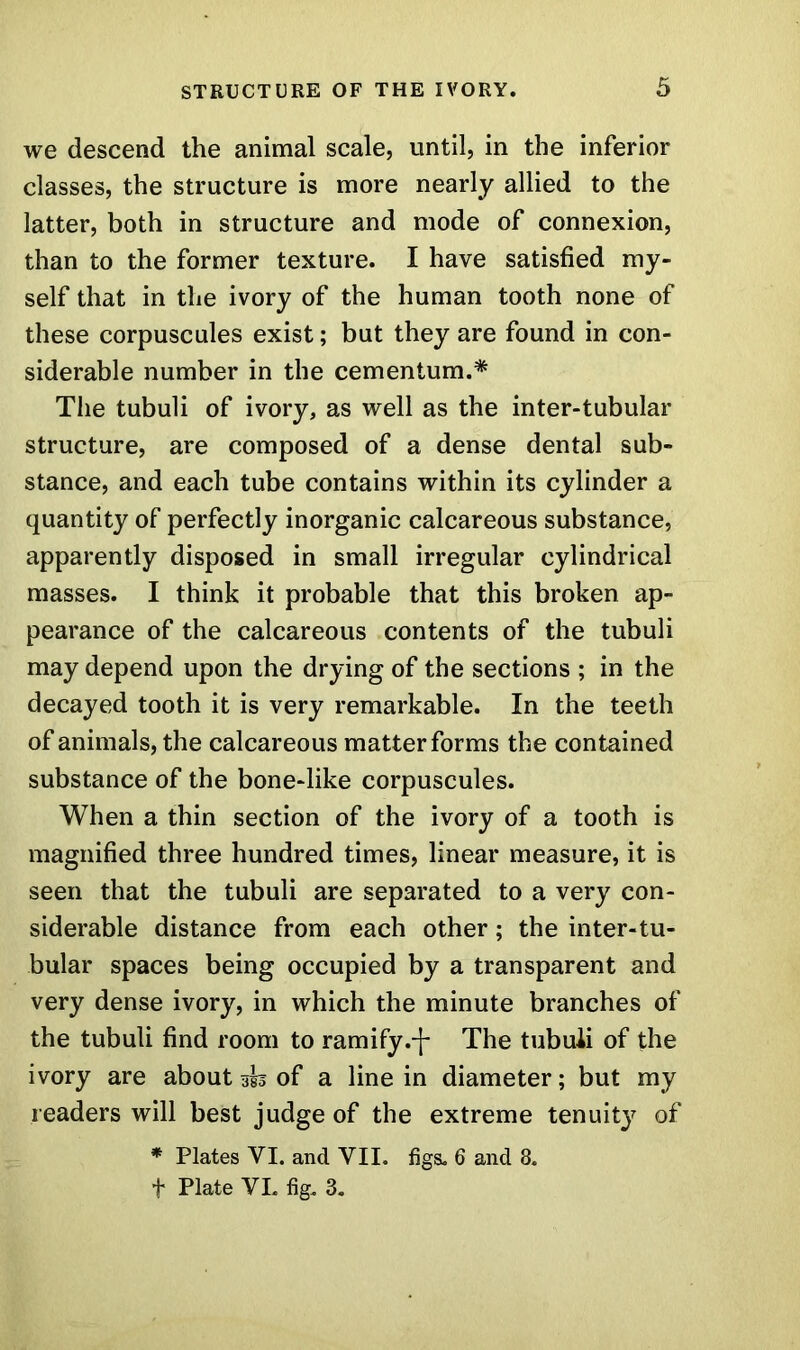 we descend the animal scale, until, in the inferior classes, the structure is more nearly allied to the latter, both in structure and mode of connexion, than to the former texture. I have satisfied my- self that in the ivory of the human tooth none of these corpuscules exist; but they are found in con- siderable number in the cementum.* The tubuli of ivory, as well as the inter-tubular structure, are composed of a dense dental sub- stance, and each tube contains within its cylinder a quantity of perfectly inorganic calcareous substance, apparently disposed in small irregular cylindrical masses. I think it probable that this broken ap- pearance of the calcareous contents of the tubuli may depend upon the drying of the sections ; in the decayed tooth it is very remarkable. In the teeth of animals, the calcareous matter forms the contained substance of the bone-like corpuscules. When a thin section of the ivory of a tooth is magnified three hundred times, linear measure, it is seen that the tubuli are separated to a very con- siderable distance from each other; the inter-tu- bular spaces being occupied by a transparent and very dense ivory, in which the minute branches of the tubuli find room to ramify.-(- The tubuli of the ivory are about 353 of a line in diameter; but my readers will best judge of the extreme tenuitj^ of * Plates VI. and VII. figs. 6 and 8. f Plate VI. fig. 3.