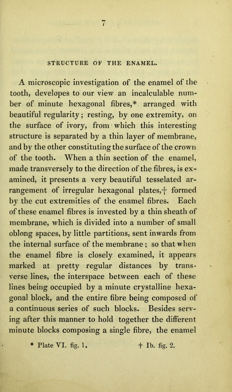 STRUCTURE OF THE ENAMEL. A microscopic investigation of the enamel of the tooth, developes to our view an incalculable num- ber of minute hexagonal fibres,* arranged with beautiful regularity; resting, by one extremity, on the surface of ivory, from which this interesting structure is separated by a thin layer of membrane, and by the other constituting the surface of the crown of the tooth. When a thin section of the enamel, made transversely to the direction of the fibres, is ex- amined, it presents a very beautiful tesselated ar- rangement of irregular hexagonal plates,-}- formed by the cut extremities of the enamel fibres. Each of these enamel fibres is invested by a thin sheath of membrane, which is divided into a number of small oblong spaces, by little partitions, sent inwards from the internal surface of the membrane; so that when the enamel fibre is closely examined, it appears marked at pretty regular distances by trans- verse lines, the interspace between each of these lines being occupied by a minute crystalline hexa- gonal block, and the entire fibre being composed of a continuous series of such blocks. Besides serv- ing after this manner to hold together the different minute blocks composing a single fibre, the enamel