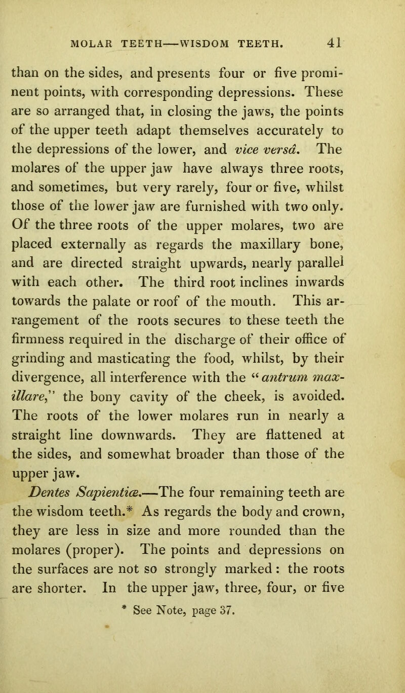 than on the sides, and presents four or five promi- nent points, with corresponding depressions. These are so arranged that, in closing the jaws, the points of the upper teeth adapt themselves accurately to the depressions of the lower, and vice versa. The molares of the upper jaw have always three roots, and sometimes, but very rarely, four or five, whilst those of the lower jaw are furnished with two only. Of the three roots of the upper molares, two are placed externally as regards the maxillary bone, and are directed straight upwards, nearly parallel with each other. The third root inclines inwards towards the palate or roof of the mouth. This ar- rangement of the roots secures to these teeth the firmness required in the discharge of their office of grinding and masticating the food, whilst, by their divergence, all interference with the “ antrum max- illare,” the bony cavity of the cheek, is avoided. The roots of the lower molares run in nearly a straight line downwards. They are flattened at the sides, and somewhat broader than those of the upper jaw. Dentes Sapientice.—The four remaining teeth are the wisdom teeth.* As regards the body and crown, they are less in size and more rounded than the molares (proper). The points and depressions on the surfaces are not so strongly marked : the roots are shorter. In the upper jaw, three, four, or five * See Note, page 37.