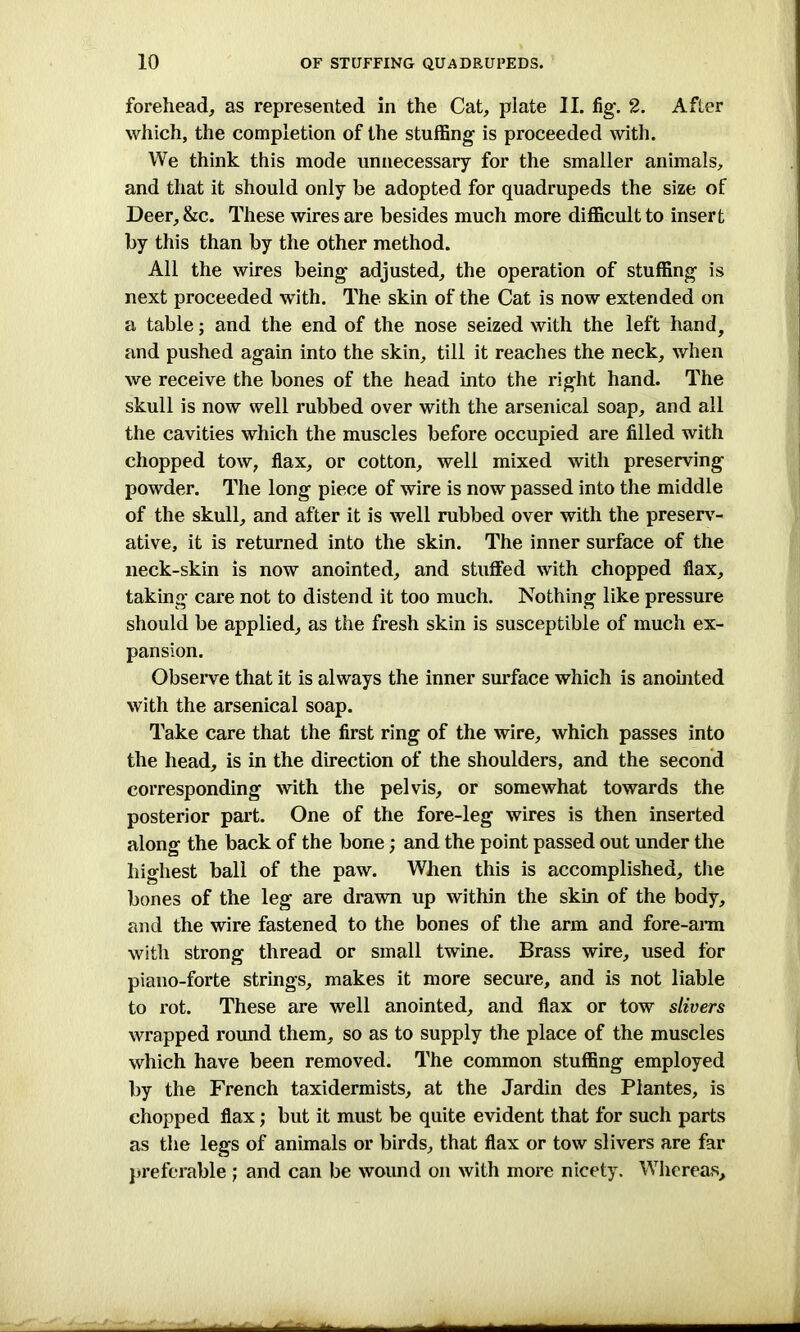 forehead, as represented in the Cat, plate II. fig. 2. After which, the completion of the stuffing is proceeded with. We think this mode unnecessary for the smaller animals, and that it should only be adopted for quadrupeds the size of Deer, &c. These wires are besides much more difficult to insert by this than by the other method. All the wires being adjusted, the operation of stuffing is next proceeded with. The skin of the Cat is now extended on a table; and the end of the nose seized with the left hand, and pushed again into the skin, till it reaches the neck, when we receive the bones of the head into the right hand. The skull is now well rubbed over with the arsenical soap, and all the cavities which the muscles before occupied are filled with chopped tow, flax, or cotton, well mixed with preserving powder. The long piece of wire is now passed into the middle of the skull, and after it is well rubbed over with the preserv- ative, it is returned into the skin. The inner surface of the neck-skin is now anointed, and stuffed with chopped flax, taking care not to distend it too much. Nothing like pressure should be applied, as the fresh skin is susceptible of much ex- pansion. Observe that it is always the inner surface which is anointed with the arsenical soap. Take care that the first ring of the wire, which passes into the head, is in the direction of the shoulders, and the second corresponding with the pelvis, or somewhat towards the posterior part. One of the fore-leg wires is then inserted along the back of the bone; and the point passed out under the highest ball of the paw. When this is accomplished, the bones of the leg are drawn up within the skin of the body, and the wire fastened to the bones of the arm and fore-arm with strong thread or small twine. Brass wire, used for piano-forte strings, makes it more secure, and is not liable to rot. These are well anointed, and flax or tow slivers wrapped round them, so as to supply the place of the muscles which have been removed. The common stuffing employed by the French taxidermists, at the Jardin des Plantes, is chopped flax; but it must be quite evident that for such parts as the legs of animals or birds, that flax or tow slivers are far preferable; and can be wound on with more nicety. Whereas,