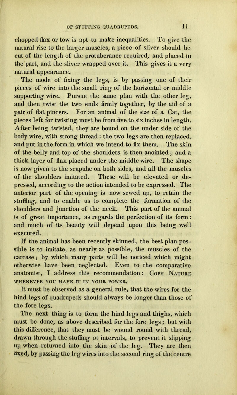 chopped flax or tow is apt to make inequalities. To give the natural rise to the larger muscles, a piece of sliver should be cut of the length of the protuberance required, and placed in the part, and the sliver wrapped over it. This gives it a very natural appearance. The mode of fixing the legs, is by passing one of their pieces of wire into the small ring of the horizontal or middle supporting wire. Pursue the same plan with the other leg, and then twist the two ends firmly together, by the aid of a pair of flat pincers. For an animal of the size of a Cat, the pieces left for twisting must be from five to six inches in length. After being twisted, they are bound on the under side of the body wire, with strong thread: the two legs are then replaced, and put in the form in which we intend to fix them. The skin of the belly and top of the shoulders is then anointed; and a thick layer of flax placed under the middle wire. The shape is now given to the scapulae on both sides, and all the muscles of the shoulders imitated. These will be elevated or de- pressed, according to the action intended to be expressed. The anterior part of the opening is now sewed up, to retain the stuffing, and to enable us to complete the formation of the shoulders and junction of the neck. This part of the animal is of great importance, as regards the perfection of its form: and much of its beauty will depend upon this being well executed. If the animal has been recently skinned, the best plan pos- sible is to imitate, as nearly as possible, the muscles of the carcase; by which many parts will be noticed which might otherwise have been neglected. Even to the comparative anatomist, I address this recommendation: Copy Nature WHENEVER YOU HAVE IT IN YOUR POWER. It must be observed as a general rule, that the wires for the hind legs of quadrupeds should always be longer than those of the fore legs. The next thing is to form the hind legs and thighs, which must be done, as above described for the fore legs; but with this difference, that they must be wound round with thread, drawn through the stuffing at intervals, to prevent it slipping up when returned into the skin of the leg. They are then fixed, by passing the leg wires into the second ring of the centre