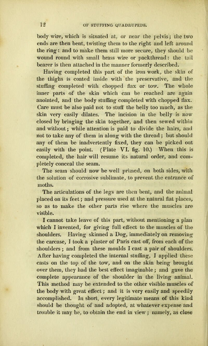 body wire, which is situated at, or near the pelvis; the two ends are then bent, twisting them to the right and left around the ring: and to make them still more secure, they should be wound round with small brass wire or packthread: the tail bearer is then attached in the manner formerly described. Having completed this part of the iron work, the skin of the thighs is coated inside with the preservative, and the stuffing completed with chopped flax or tow. The whole inner parts of the skin which can be reached are again anointed, and the body stuffing completed with chopped flax. Care must be also paid not to stuff the belly too much, as the skin very easily dilates. The incision in the belly is now closed by bringing the skin together, and then sewed within and without; while attention is paid to divide the hairs, and not to take any of them in along with the thread ; but should any of them be inadvertently fixed, they can be picked out easily with the point. (Plate VI. fig. 10.) When this is completed, the hair will resume its natural order, and com- pletely conceal the seam. The seam should now be well primed, on both sides, with the solution of corrosive sublimate, to prevent the entrance of moths. The articulations of the legs are then bent, and the animal placed on its feet; and pressure used at the natural flat places, so as to make the other parts rise where the muscles are visible. I cannot take leave of this part, without mentioning a plan which I invented, for giving full effect to the muscles of the shoulders. Having skinned a Hog, immediately on removing the carcase, J took a plaster of Paris cast off, from each of the shoulders ; and from these moulds I cast a pair of shoulders. After having completed the internal stuffing, I applied these casts on the top of the tow, and on the skin being brought over them, they had the best effect imaginable ; and gave the complete appearance of the shoulder in the living animal. This method may be extended to the other visible muscles of the body with great effect; and it is very easily and speedily accomplished. In short, every legitimate means of this kind should be thought of and adopted, at whatever expense and trouble it may be, to obtain the end in view; namely, as close