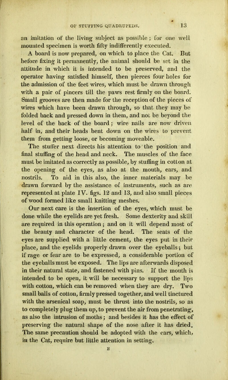 an imitation of the living subject as possible ; for one well mounted specimen is worth fifty indifferently executed. A board is now prepared, on which to place the Cat. But before fixing it permanently, the animal should be set in the attitude in which it is intended to be preserved, and the operator having satisfied himself, then pierces four holes for the admission of the feet wires, which must be drawn through with a pair of pincers till the paws rest firmly on the board. Small grooves are then made for the reception of the pieces of wires which have been drawn through, so that they may be folded back and pressed down in them, and not be beyond the level of the back of the board; wire nails are now driven half in, and their heads bent down on the wires to prevent them from getting loose, or becoming moveable. The stuffer next directs his attention to the position and final stuffing of the head and neck. The muscles of the face must be imitated as correctly as possible, by stuffing in cotton at the opening of the eyes, as also at the mouth, ears, and nostrils. To aid in this also, the inner materials may be drawn forward by the assistance of instruments, such as are represented at plate IV. figs. 12 and 13, and also small pieces of wood formed like small knitting meshes. Our next care is the insertion of the eyes, which must be done while the eyelids are yet fresh. Some dexterity and skill are required in this operation; and on it will depend most of the beauty and character of the head. The seats of the eyes are supplied with a little cement, the eyes put in their place, and the eyelids properly drawn over the eyeballs •, but if rage or fear are to be expressed, a considerable portion of the eyeballs must be exposed. The lips are afterwards disposed in their natural state, and fastened with pins. If the mouth is intended to be open, it will be necessary to support the lips with cotton, which can be removed when they are dry. Two small balls of cotton, firmly pressed together, and well tinctured with the arsenical soap, must be thrust into the nostrils, so as to completely plug them up, to prevent the air from penetrating, as also the intrusion of moths; and besides it has the effect of preserving the natural shape of the nose after it has dried. The same precaution should be adopted with the ears, which, in the Cat, require but little attention in setting. B